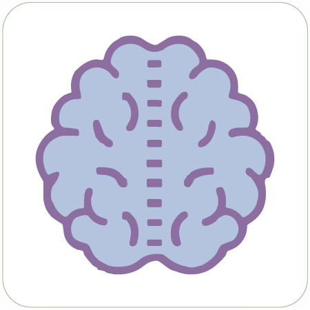 Illustration of a human brain with a purple outline and light purple shading symbolizing Charted's mental toughness tools