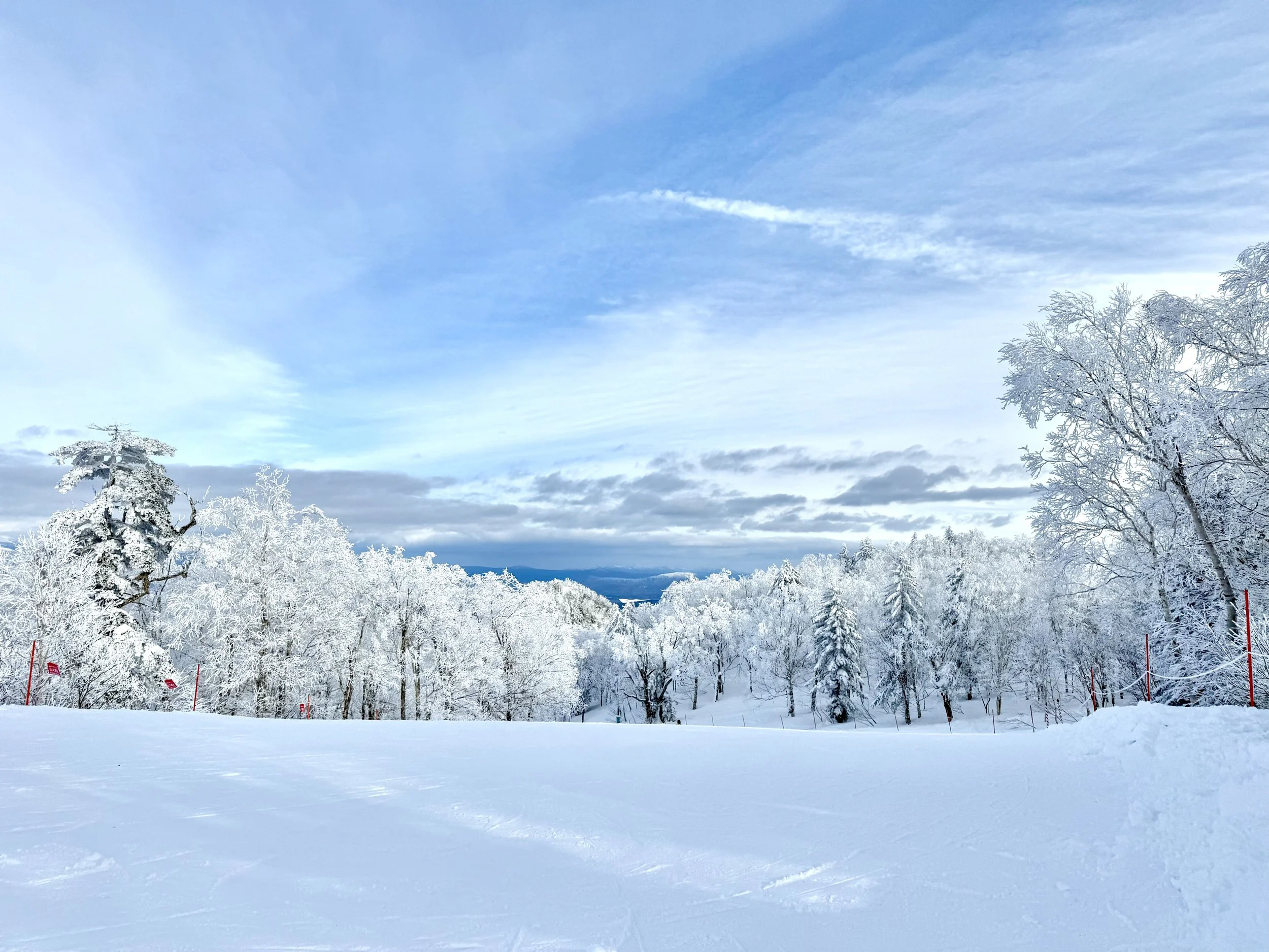 In Hokkaido, furano ski, snow-covered trees and a bright blue sky with scattered clouds.