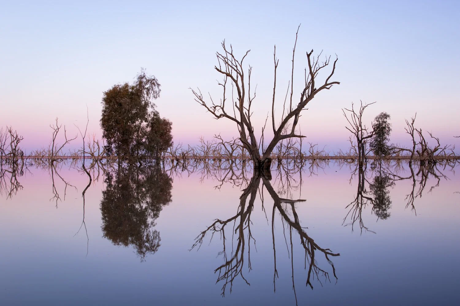 Lake Menindee
