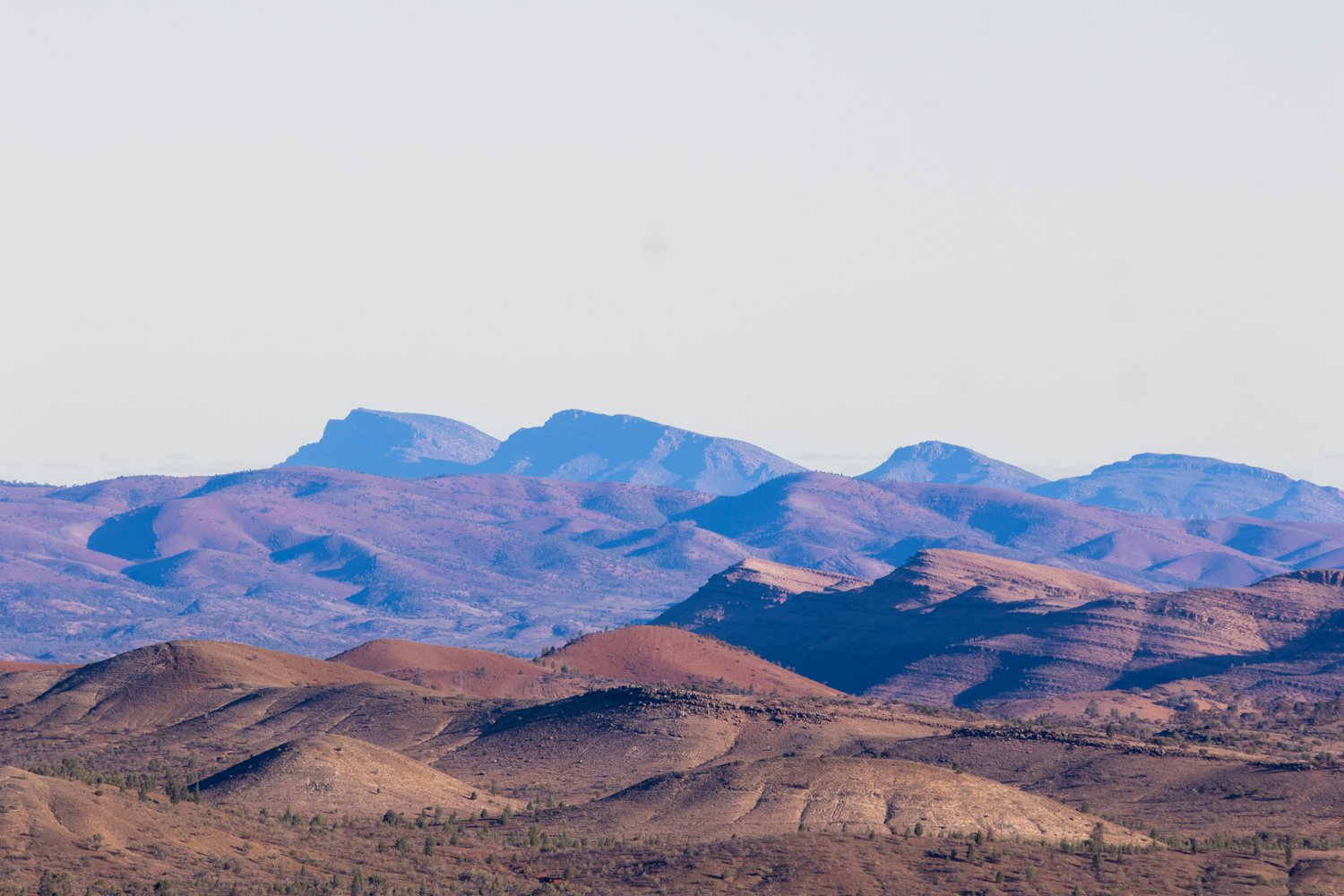 Flinders Skyline