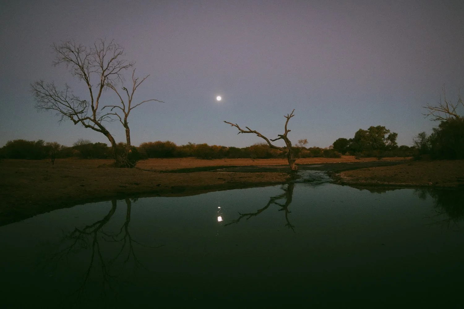 Outback Oasis