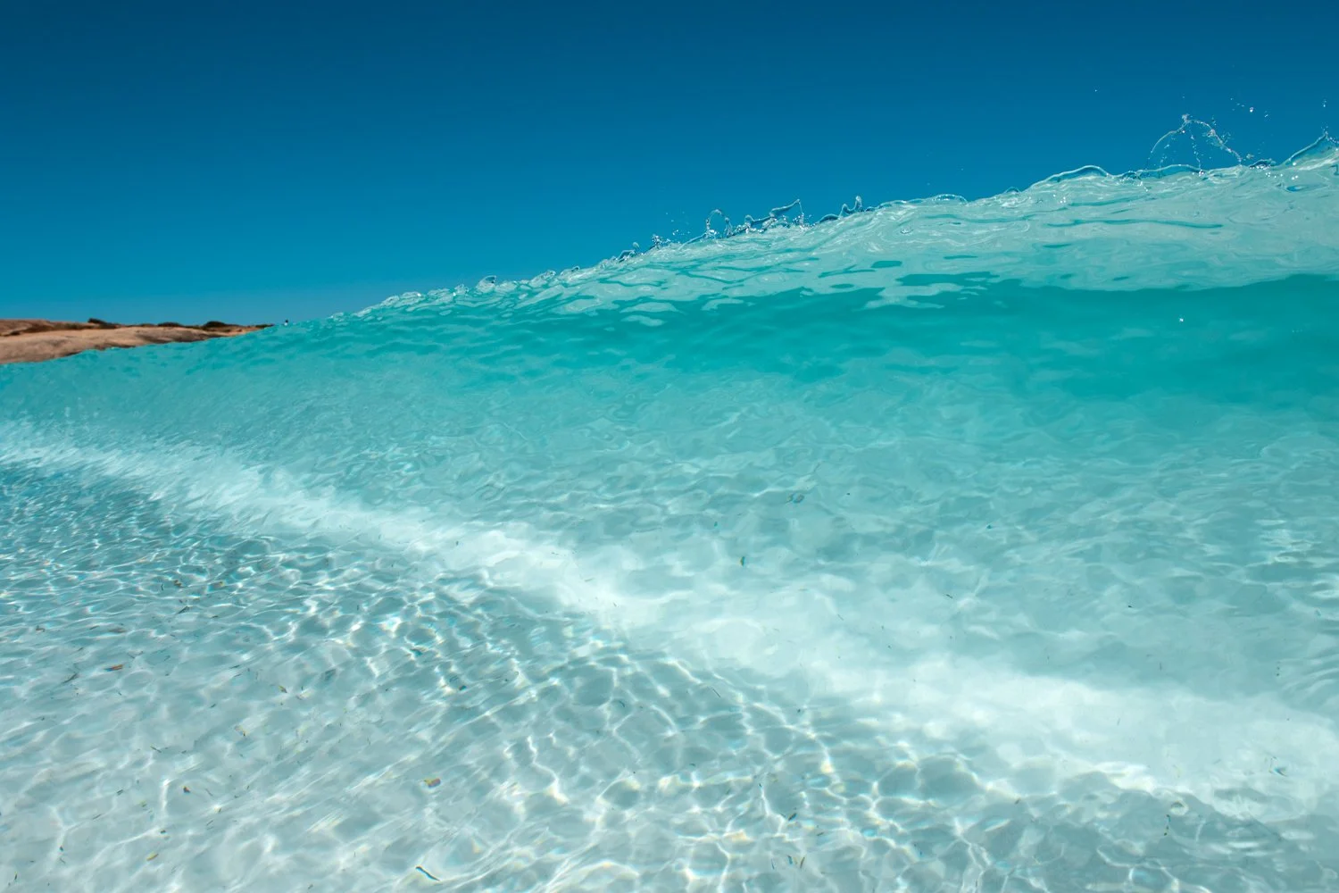 The Ocean