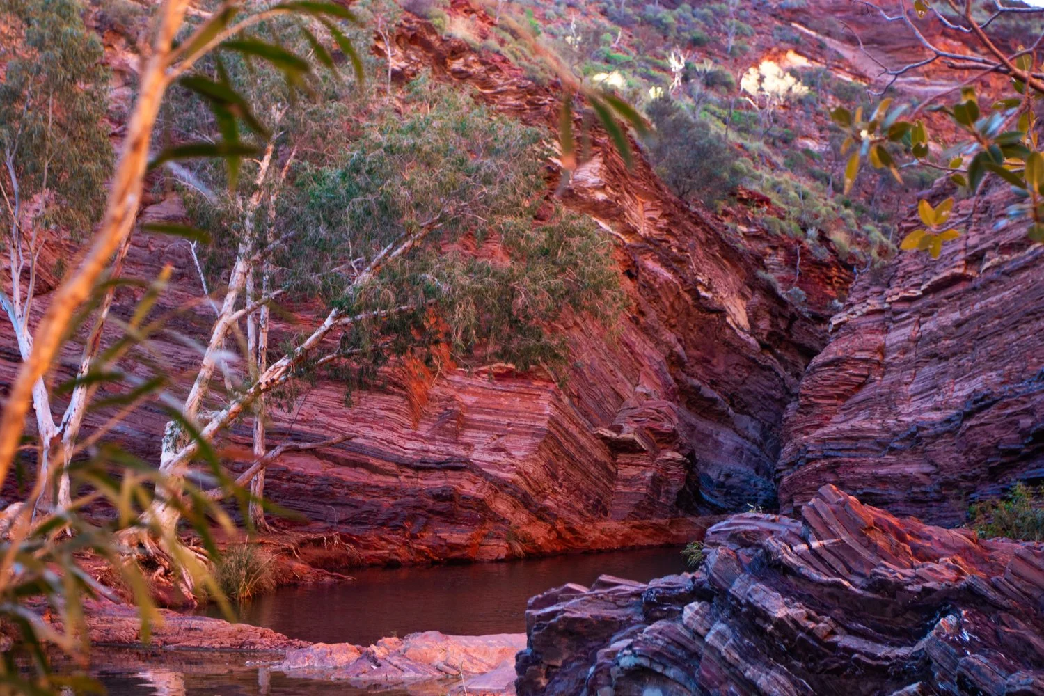 Red Oasis
