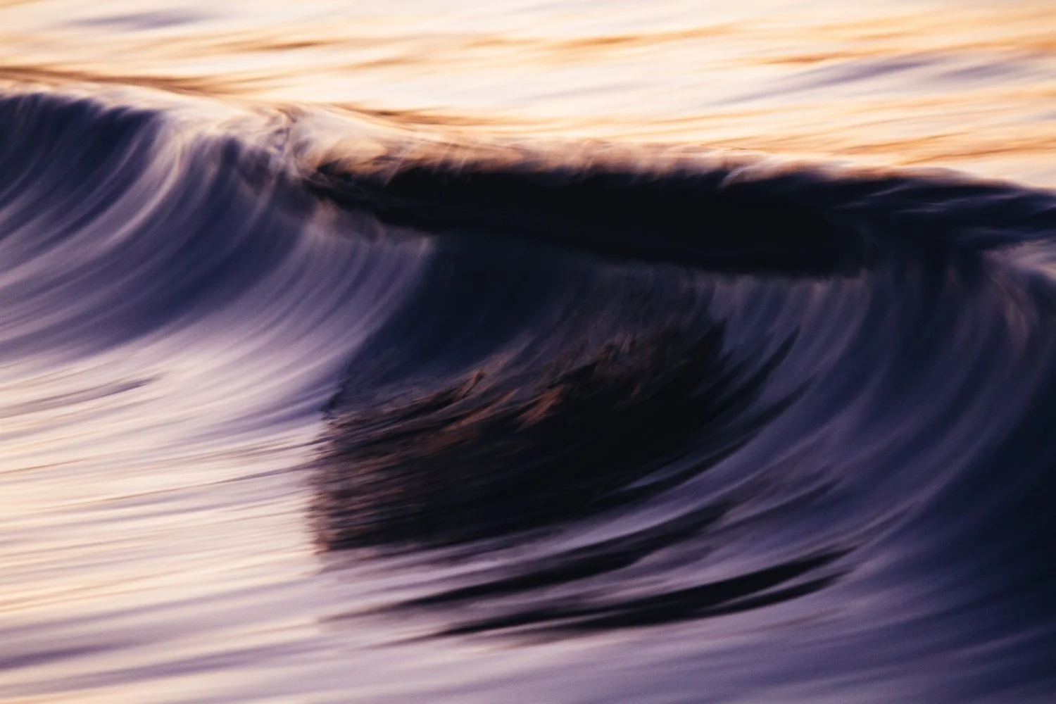 Purple motion