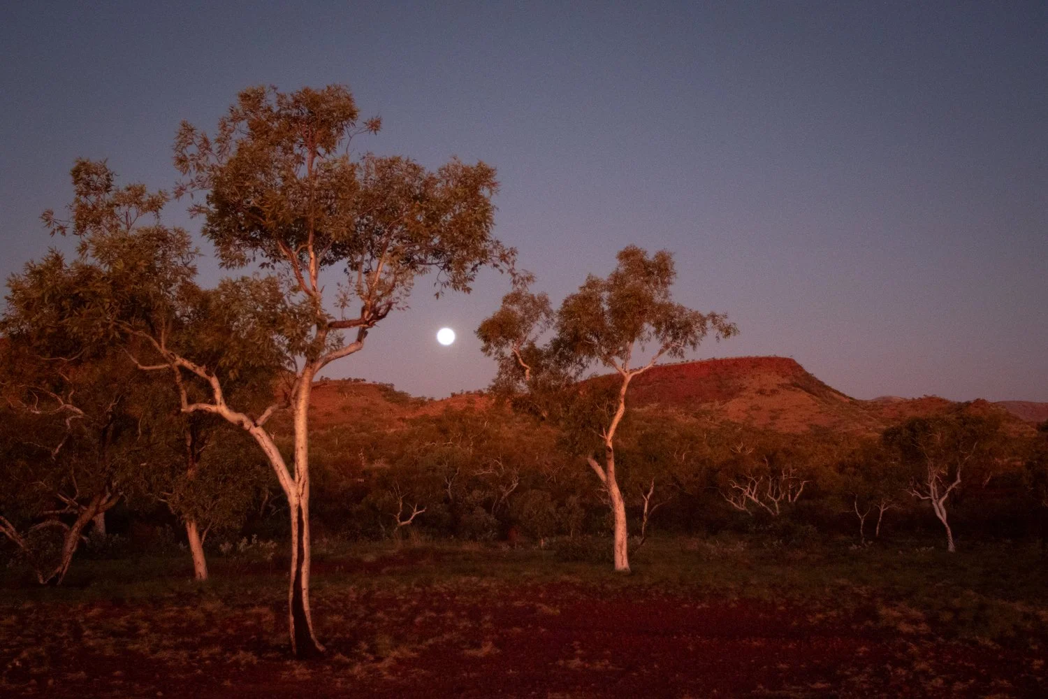 Pilbara moonrise.