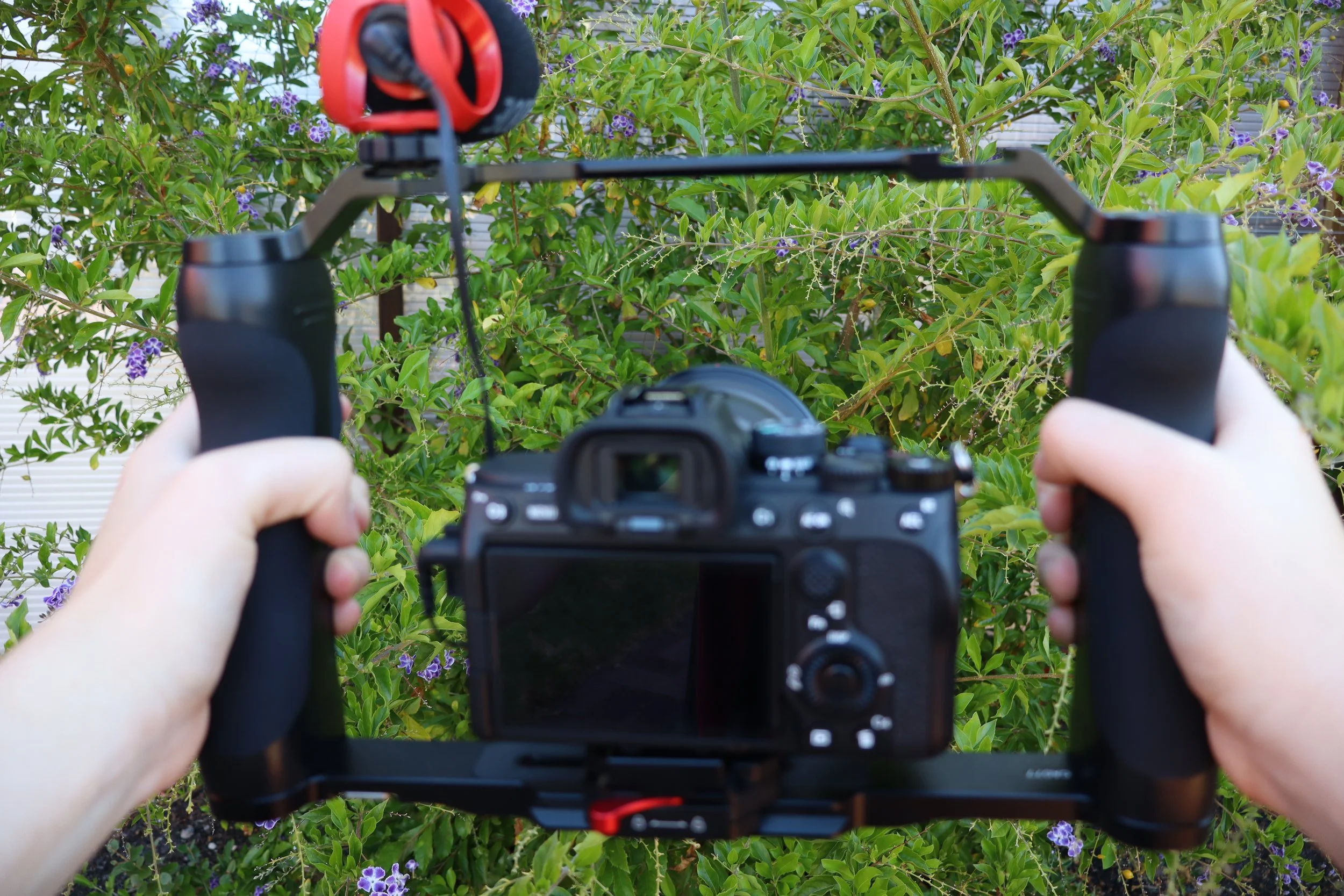 Person holds a camera stabilizer rig for DSLR camera outdoors in front of green bushes with purple flowers.
