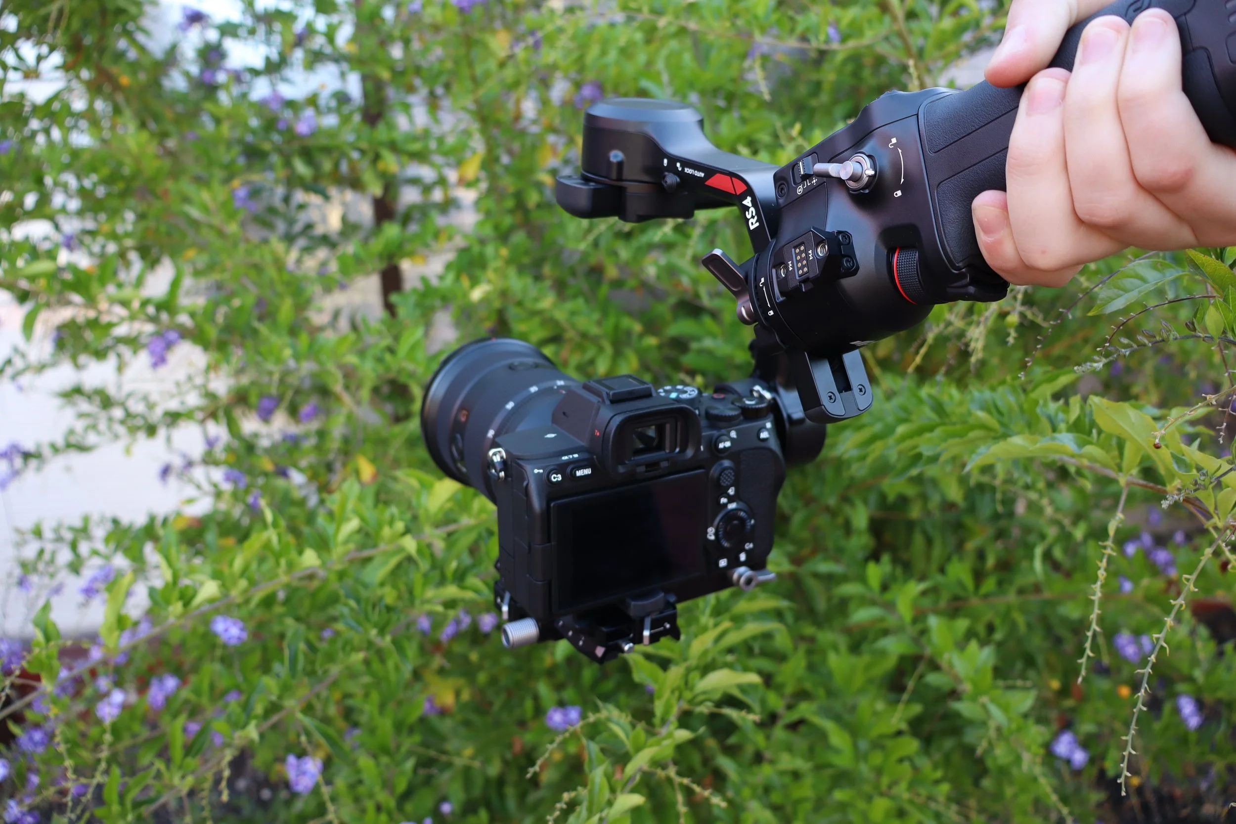 A person holding a camera stabilizer rig with a camera attached, outdoors with green foliage and small purple flowers in the background.