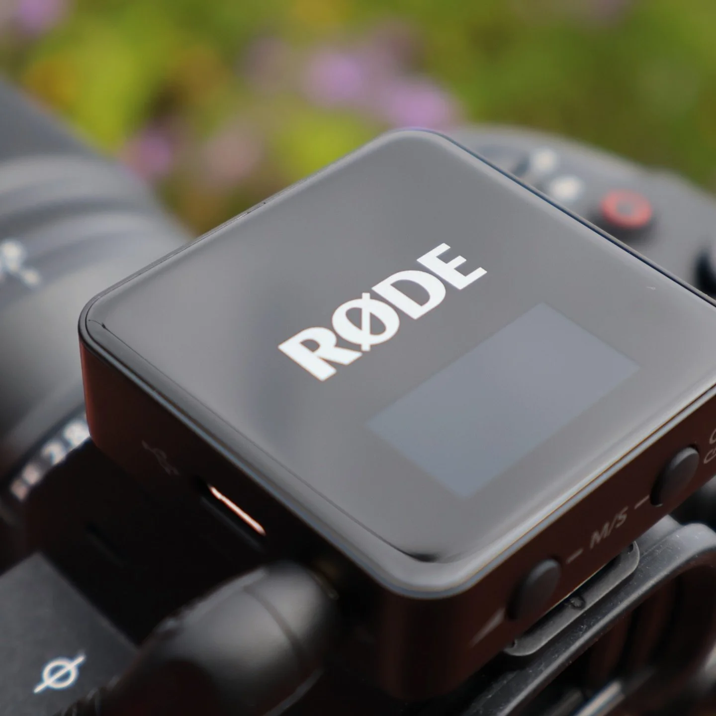 Recently added these @rodemic wireless microphones to my kit and they have been such a game changer.

Capturing clear, high-quality audio during elopements and weddings is so important - especially for those once-in-a-lifetime moments like vows 🤍

F