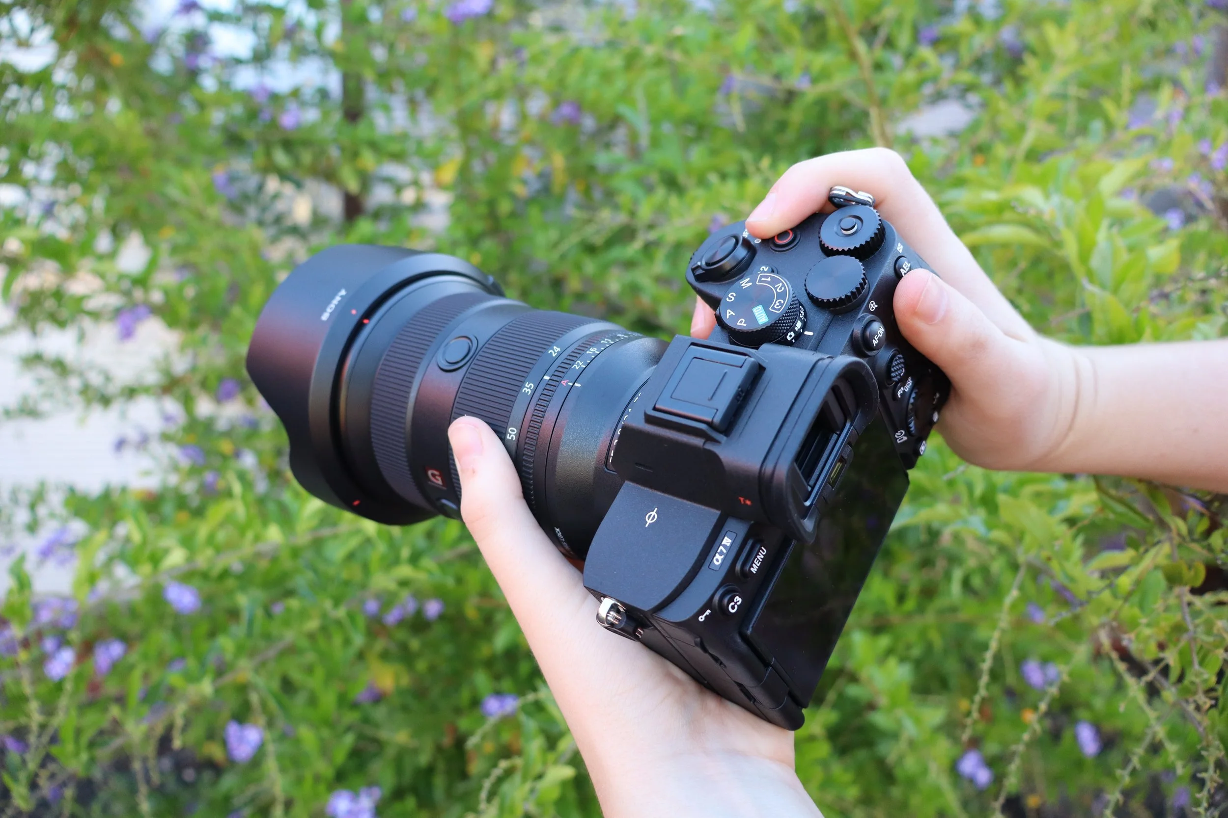 Person holding a black mirrorless camera with a large zoom lens outdoors, with green foliage and purple flowers in the background.