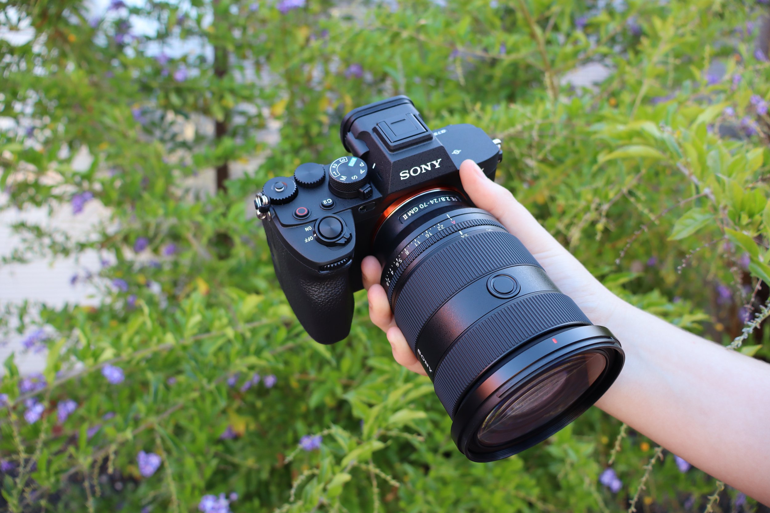 Person holding a black Sony mirrorless camera with a large zoom lens, outdoors with green bushes and purple flowers in the background.