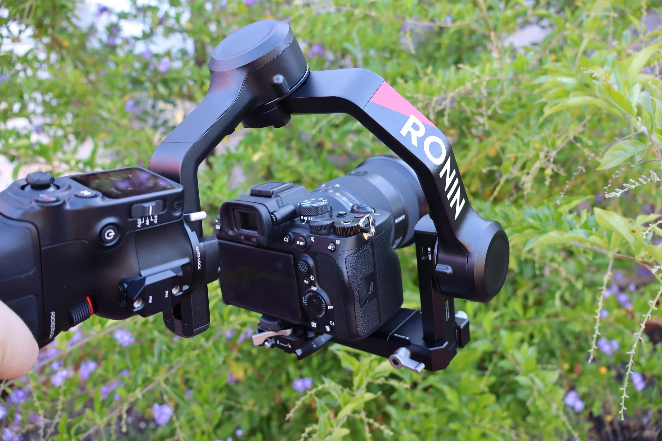 Camera mounted on a gimbal stabilizer labeled 'RONIN', set outdoors with green foliage and purple flowers in the background.