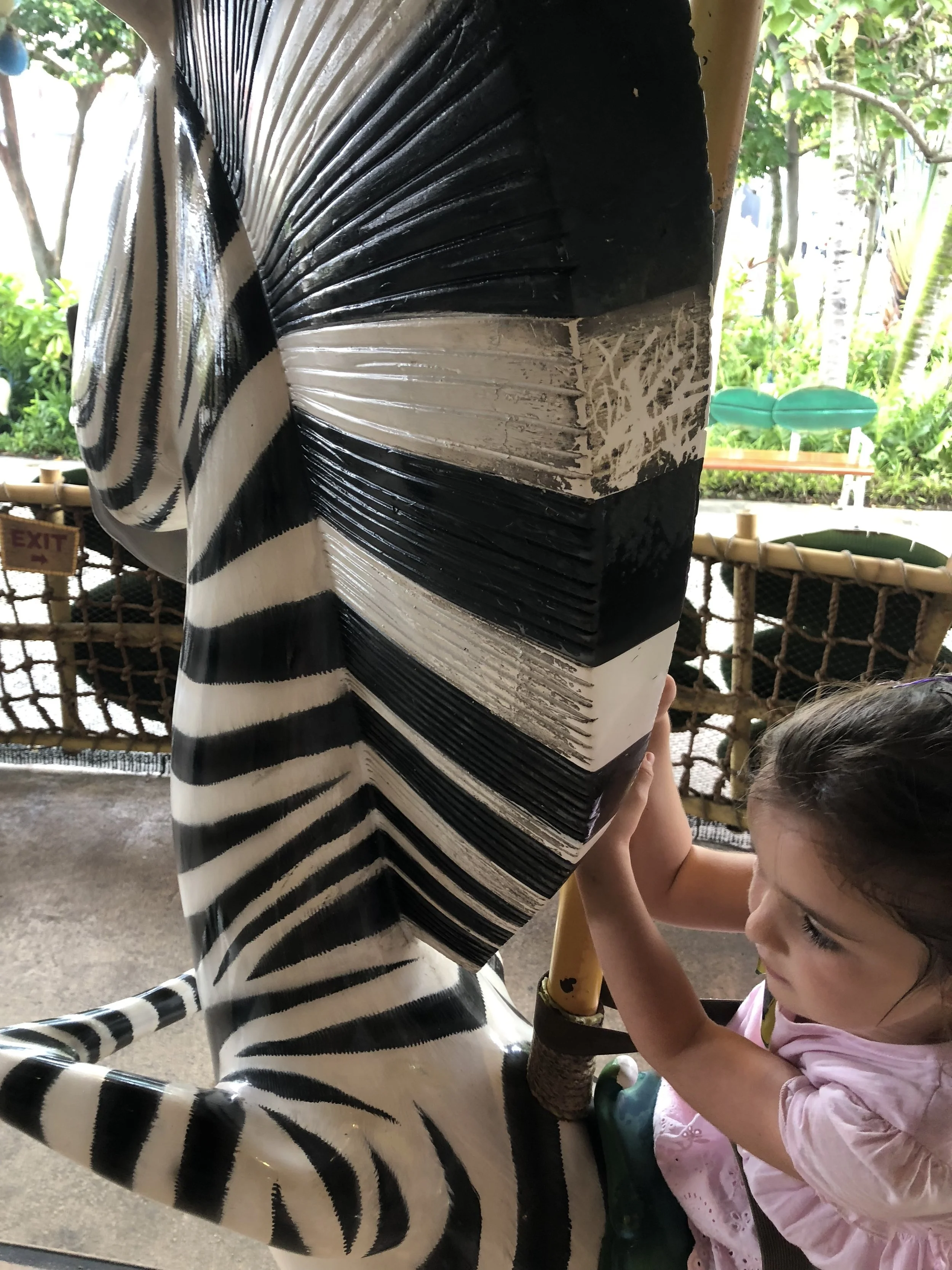 IMG_0697.jpeg