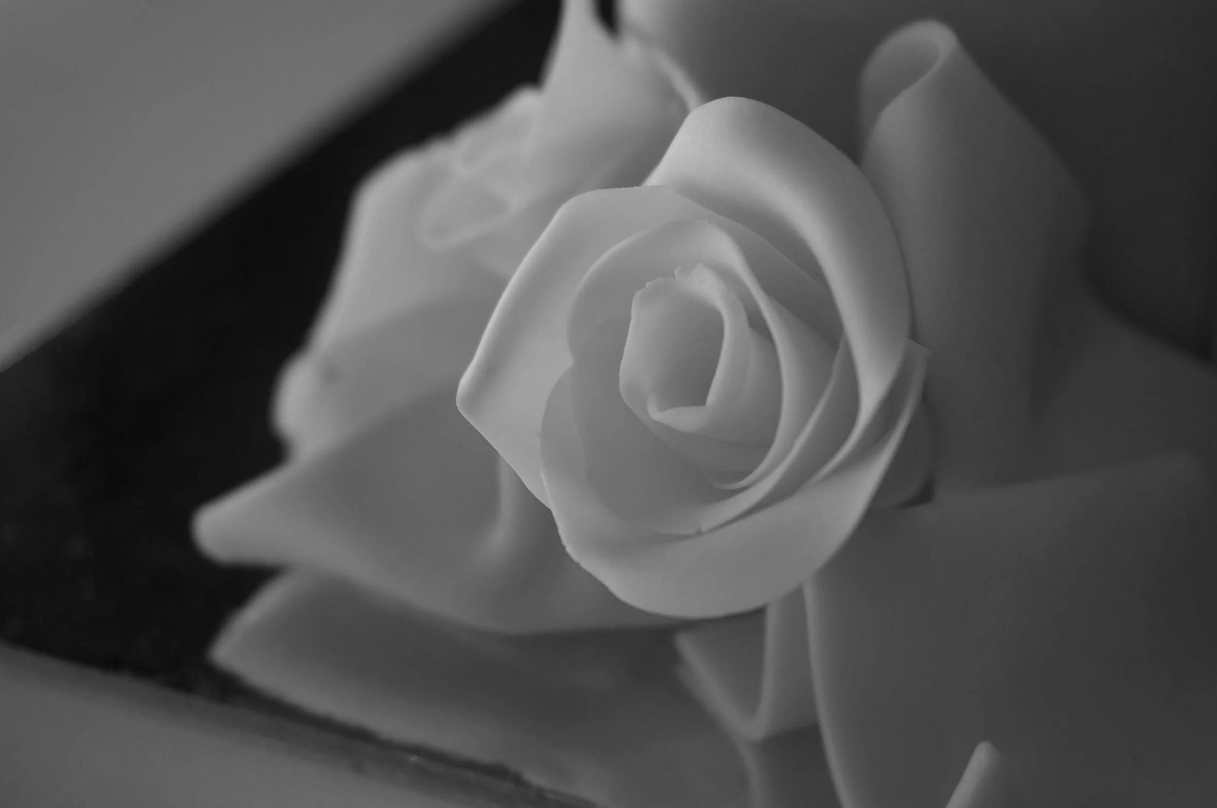 Modelling chocolate roses and bow.jpeg