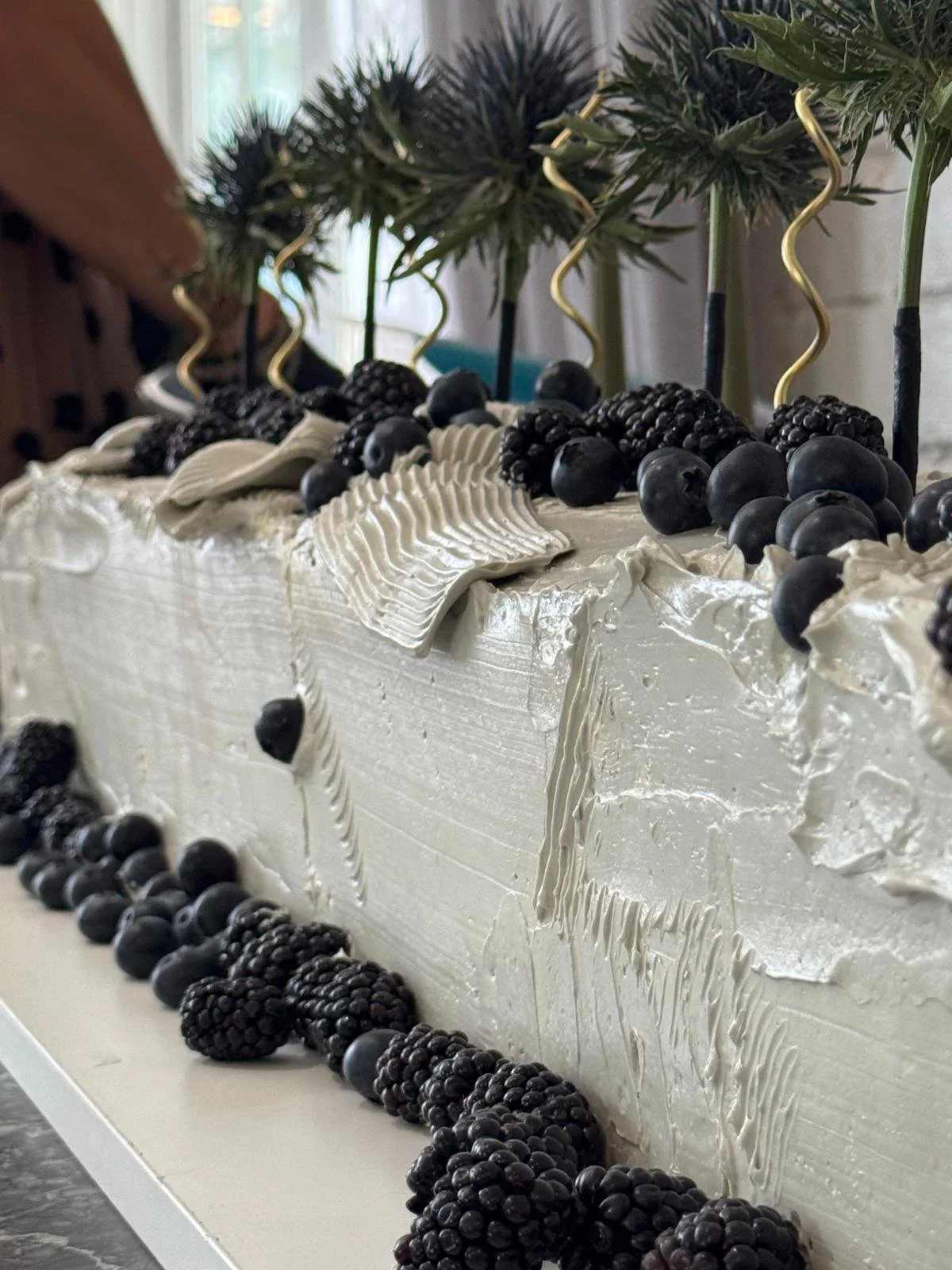 Choc berry cake.JPG
