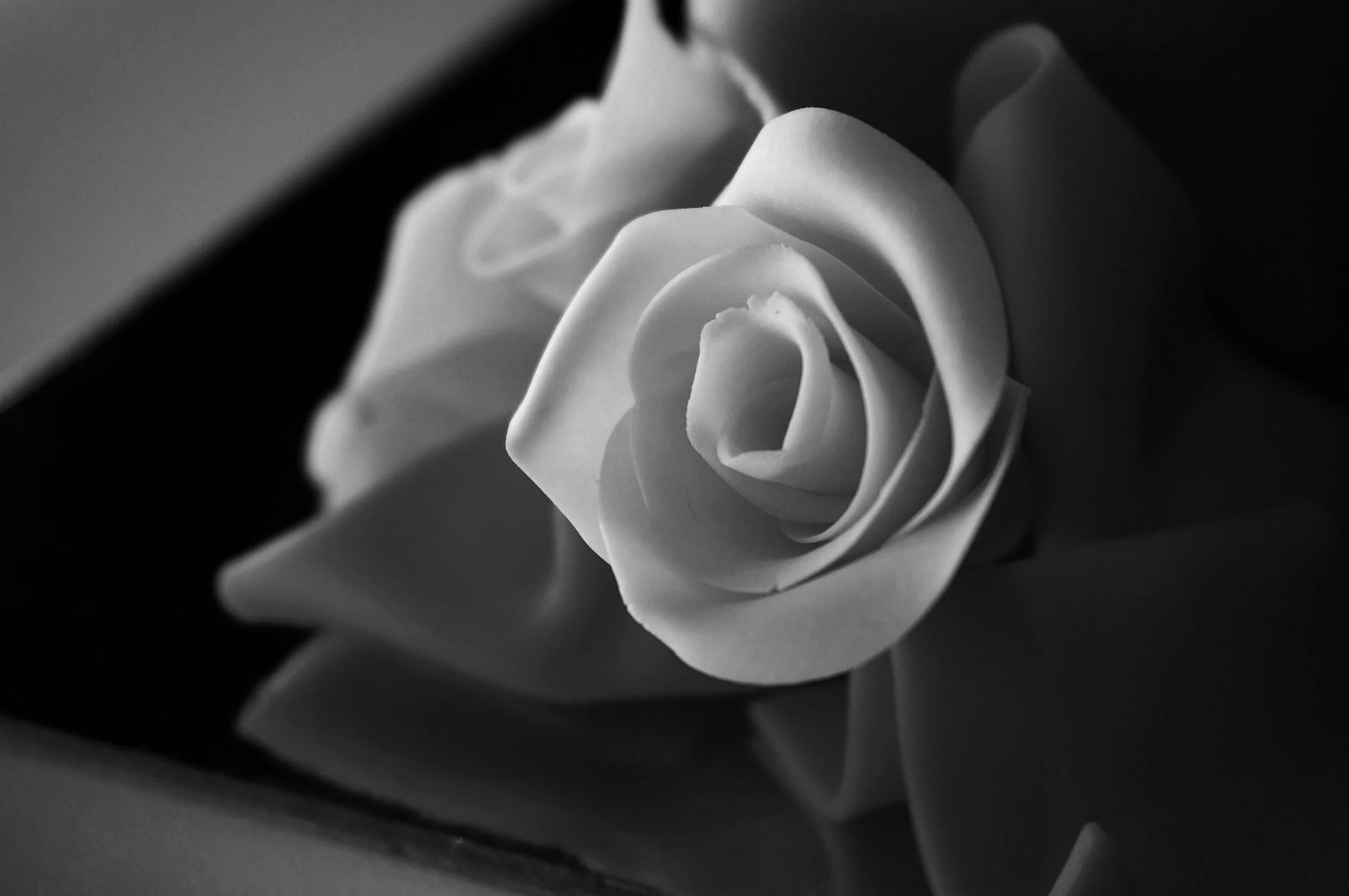 Modelling chocolate roses and bow 2.jpeg