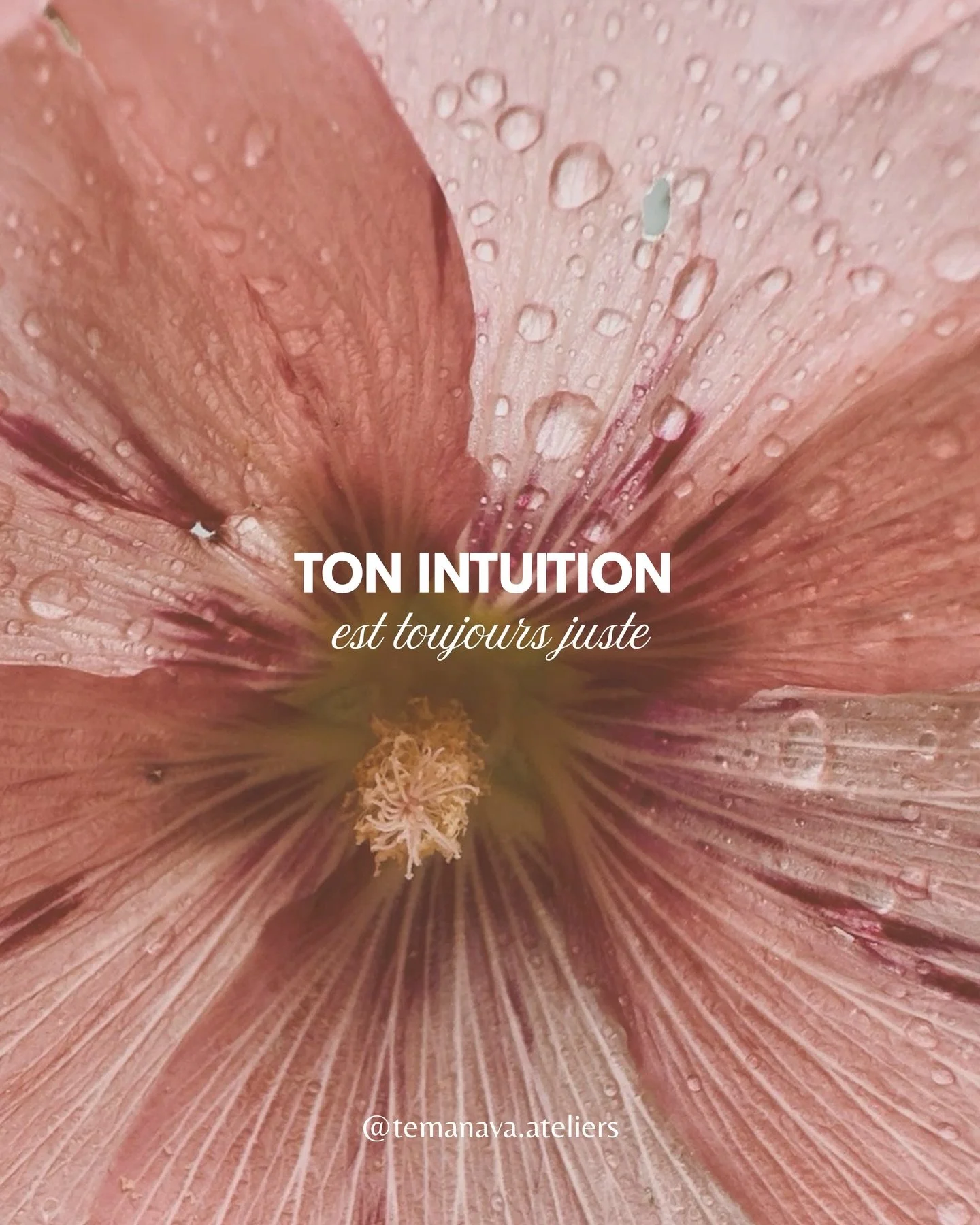 Ces cartes je les aies cr&eacute;&eacute;es car je crois profond&eacute;ment que nous sommes toujours guid&eacute;(e)s. Ces messages sont des rappels pour notre vie de tous les jours. Et lorsqu&rsquo;on oublie, les cartes sont l&agrave; pour nous rap