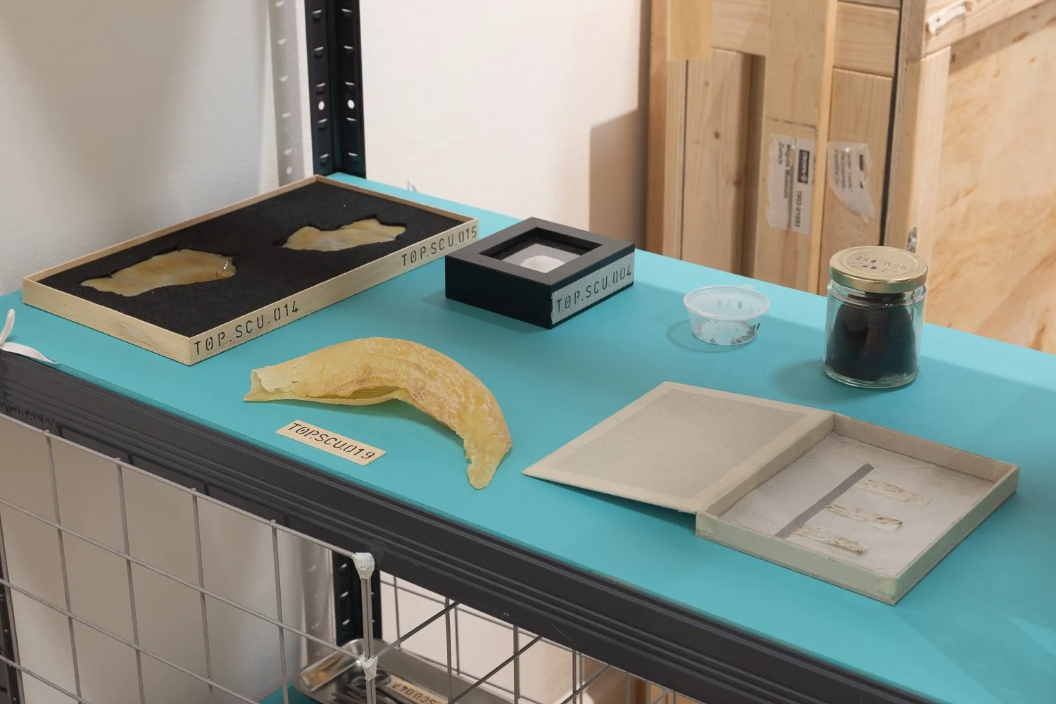 Henry Moore Institute Claye Bowler Installation View (Low Res)-20.jpg