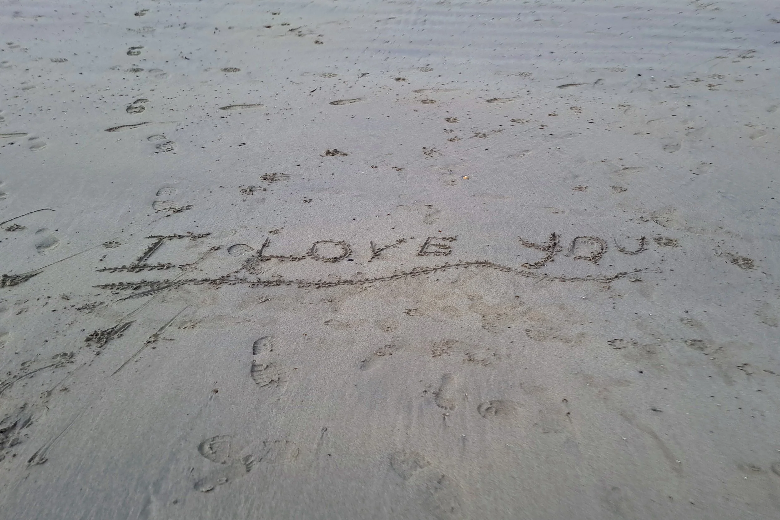 20230502_205914 (2).jpg