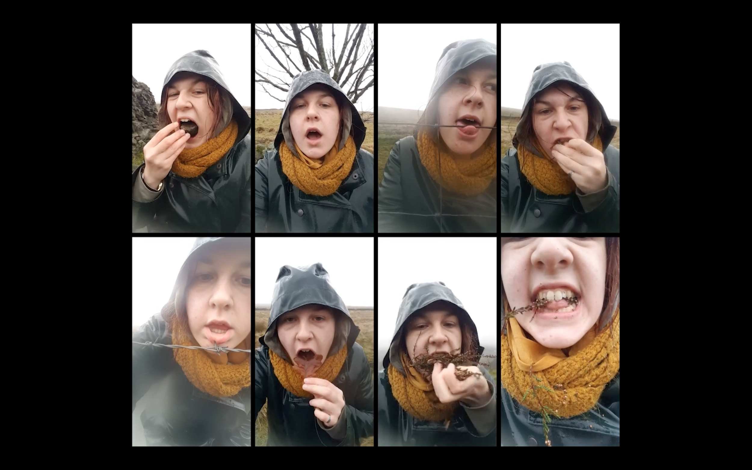 Archiving Taste (2018)