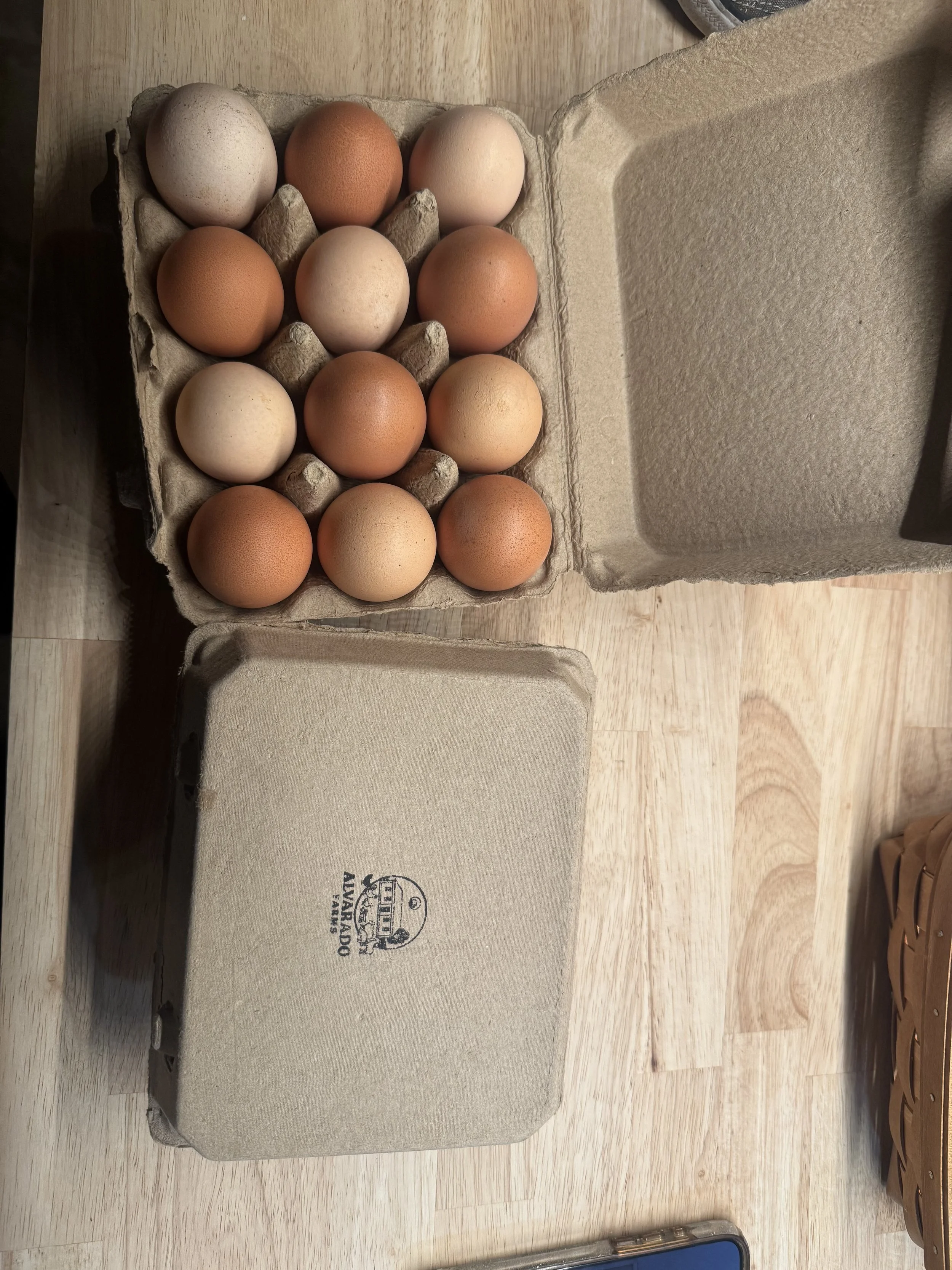 Pasture raised chicken eggs