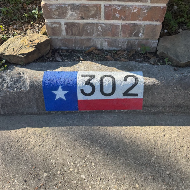 Texas Flag