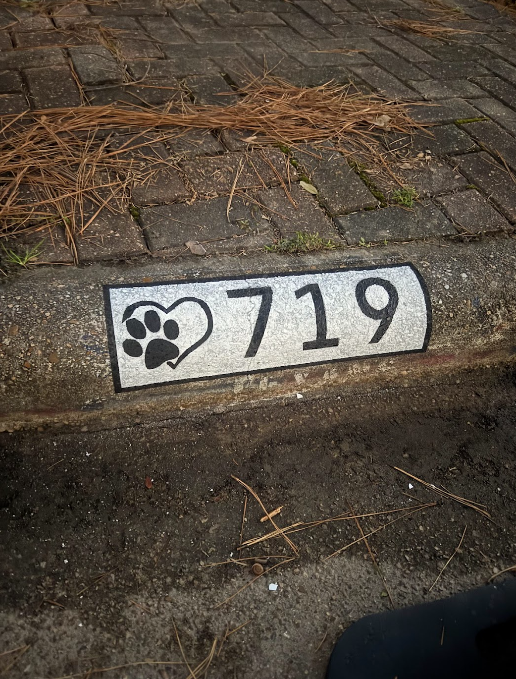 Custom Curb Address Painting