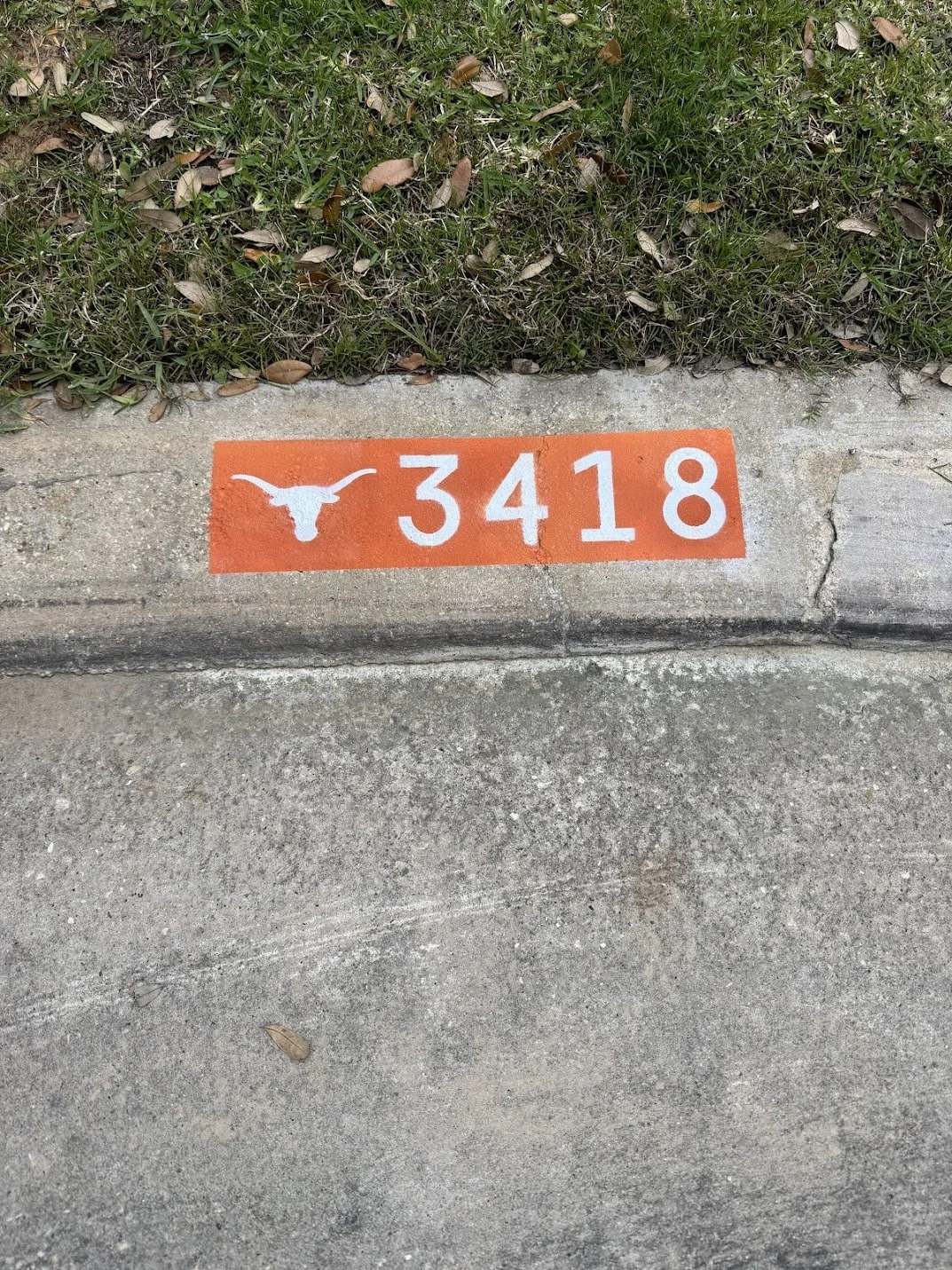 Longhorns Curb Painting