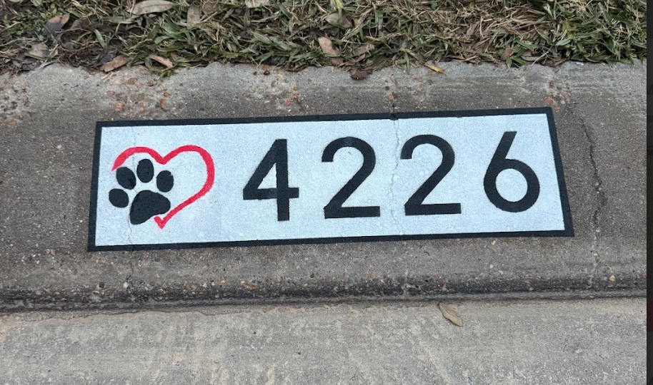 Paw & Heart