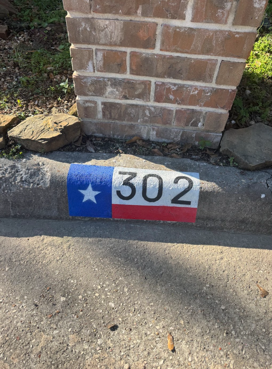 Texas Flag