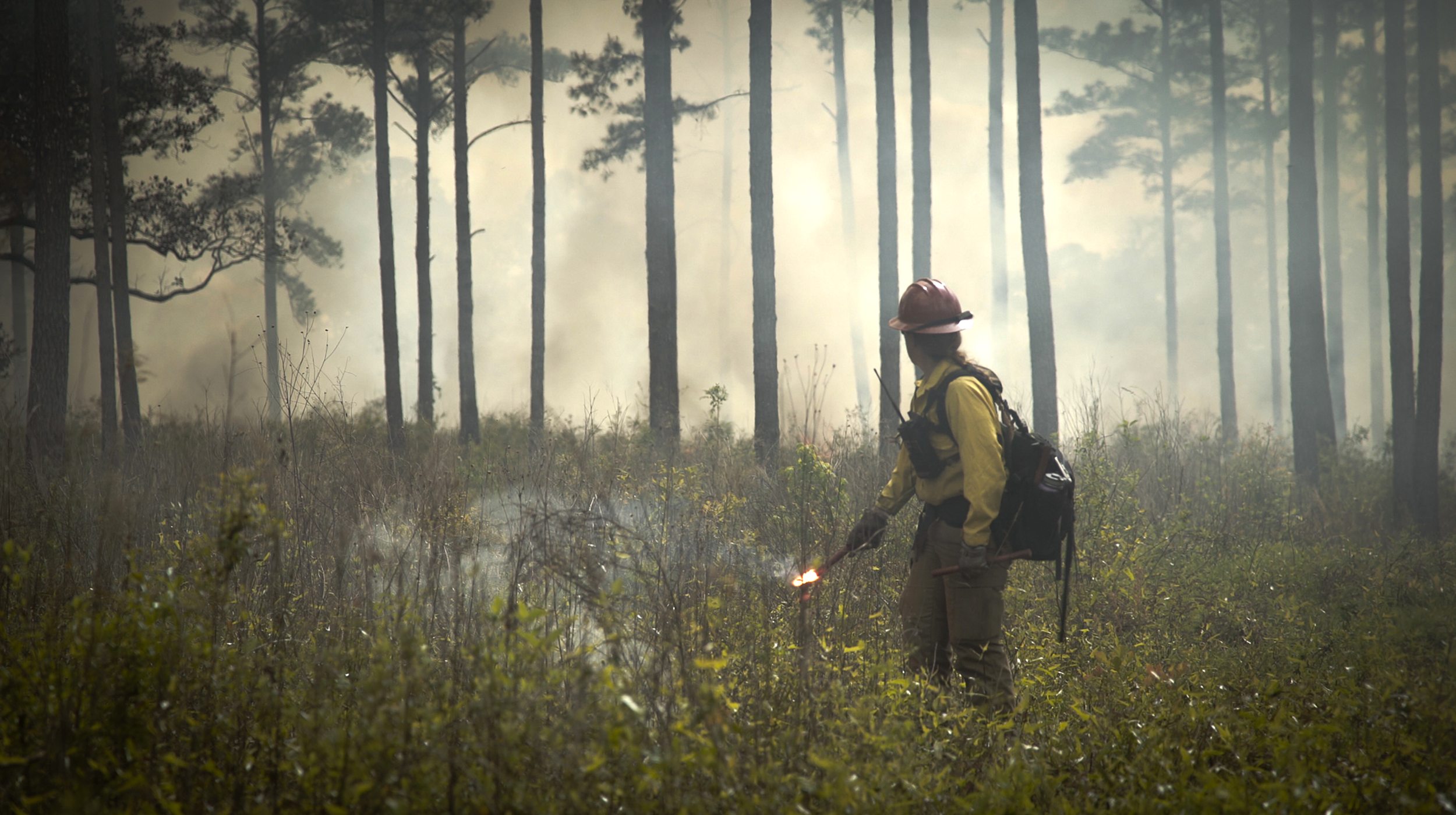 A firefighter wearing protective gear, including a face mask and helmet, spraying water on a forest fire with smoke and trees in the background.