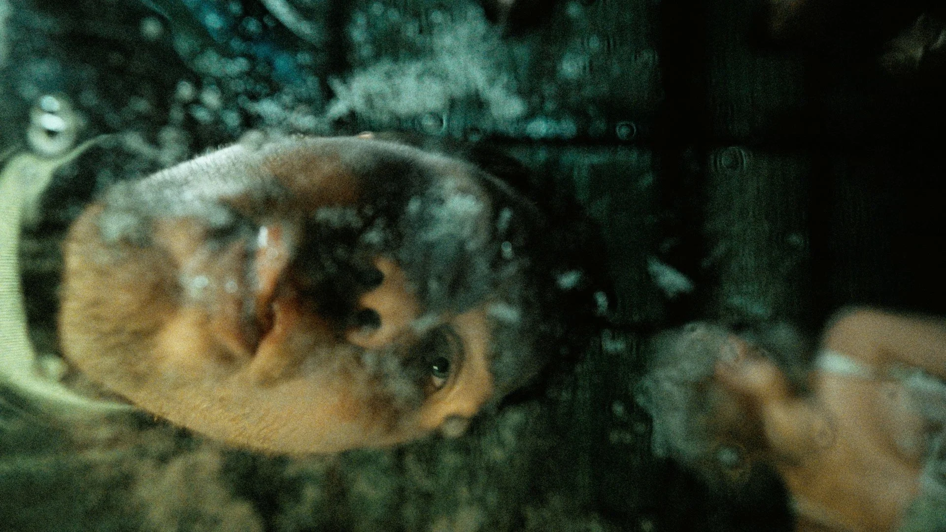 Untitled_1.1.18 2.JPG