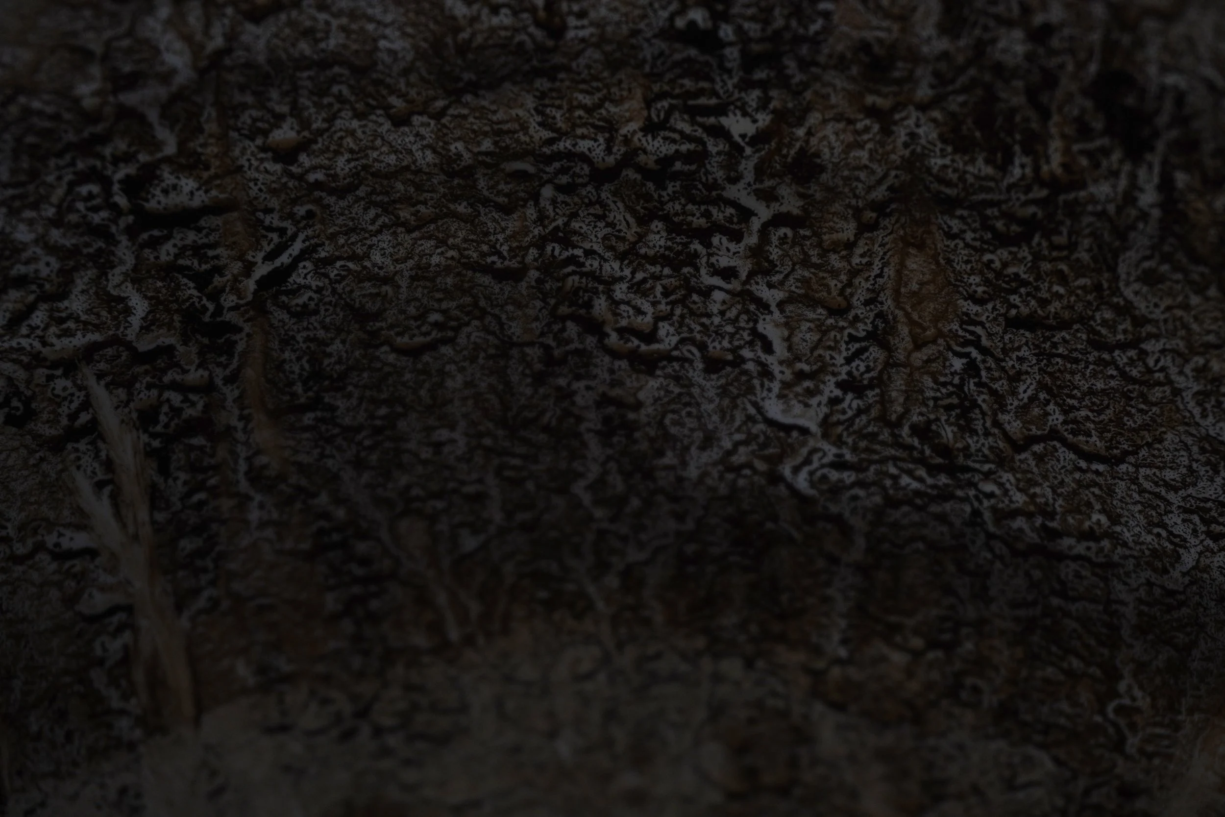 Mud dyeing 001
