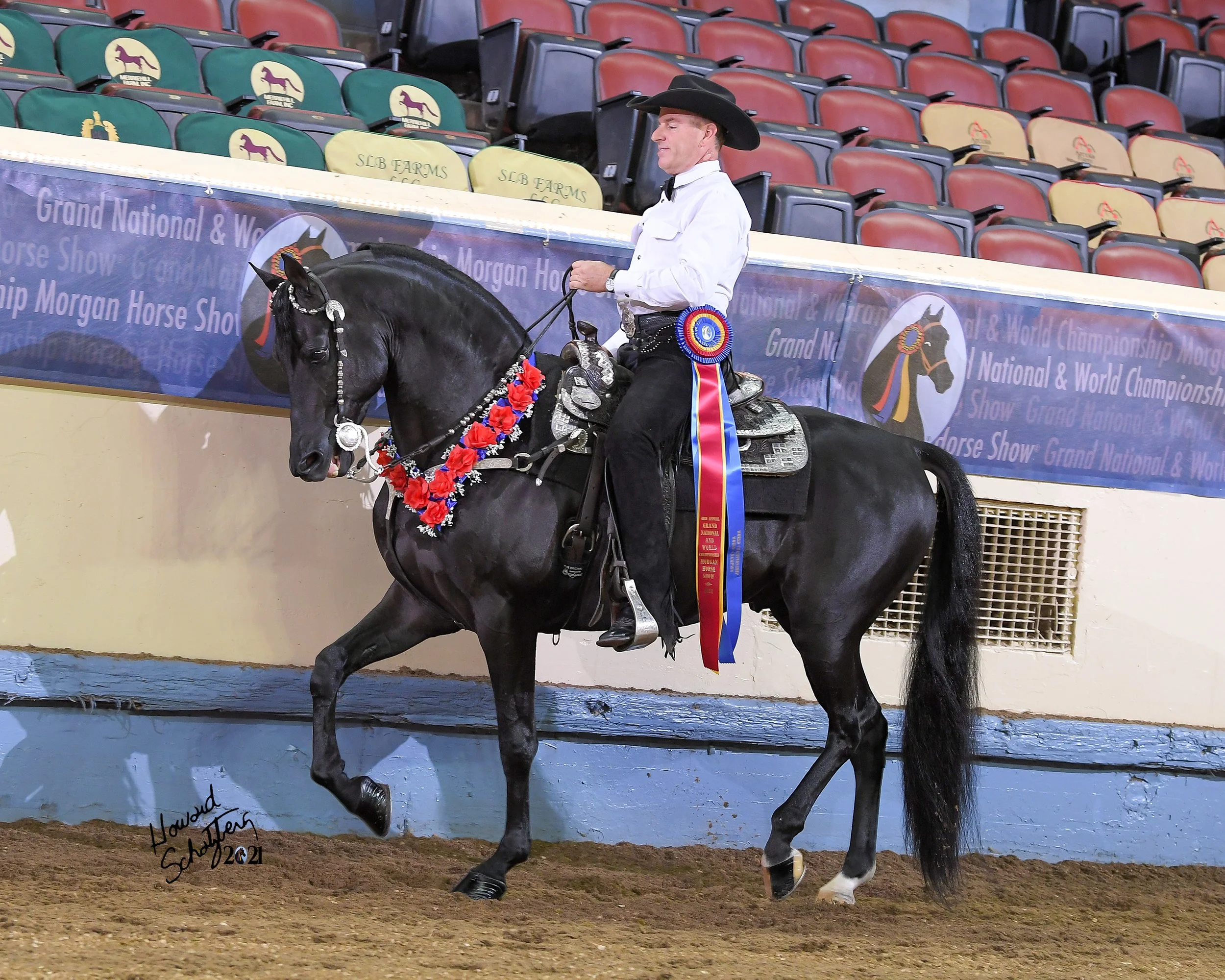 One Last Dance - 2017 stallion BKC Valiant Star x Quiet Allegation NKS
2021 WC Western Pleasure 4yo
2020 RWC Western Pleasure 3yo