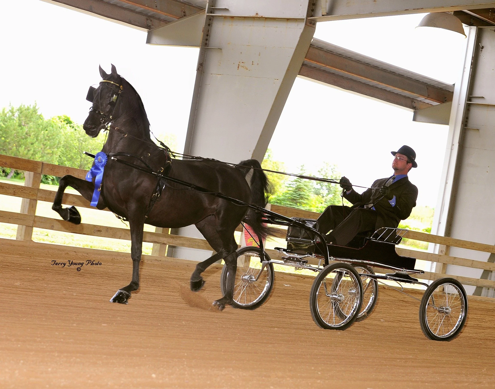 Merriehill Black Betty