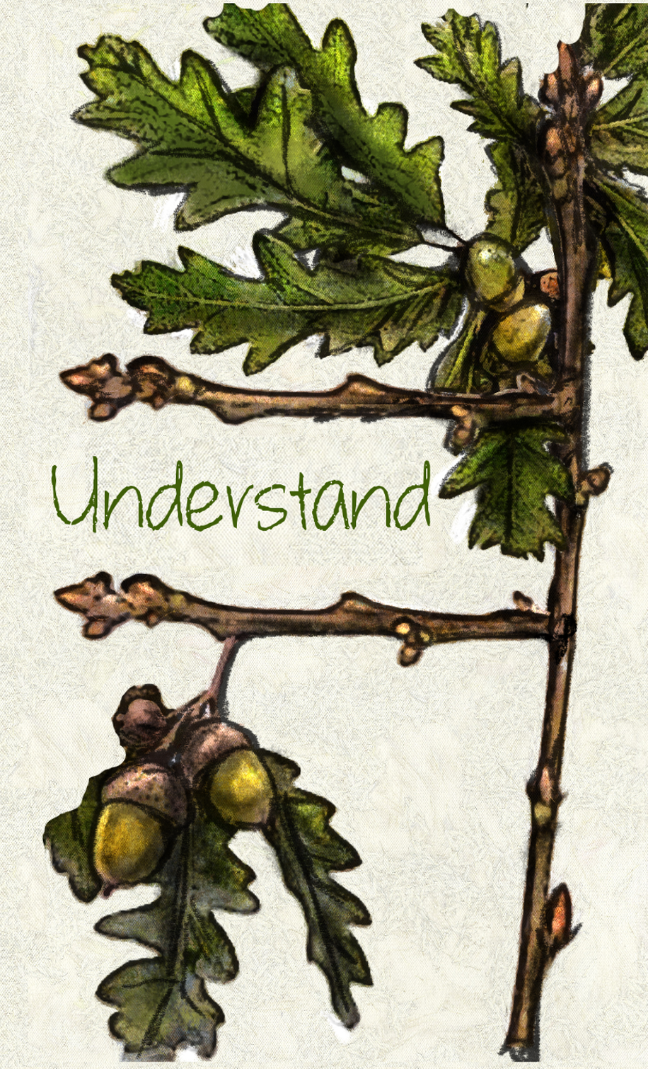 Copy of 7-oak style 3.png