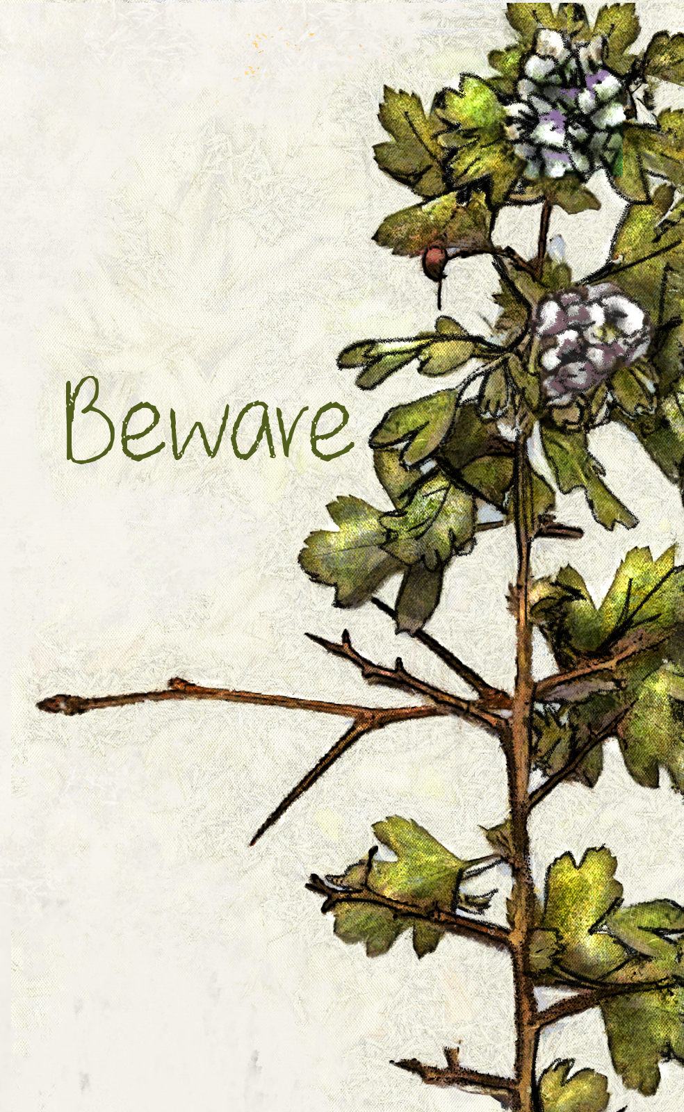 Copy of 6-hawthorn style 3.png