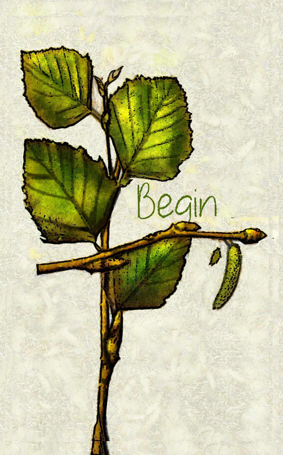 Copy of 1-birch style 3.png