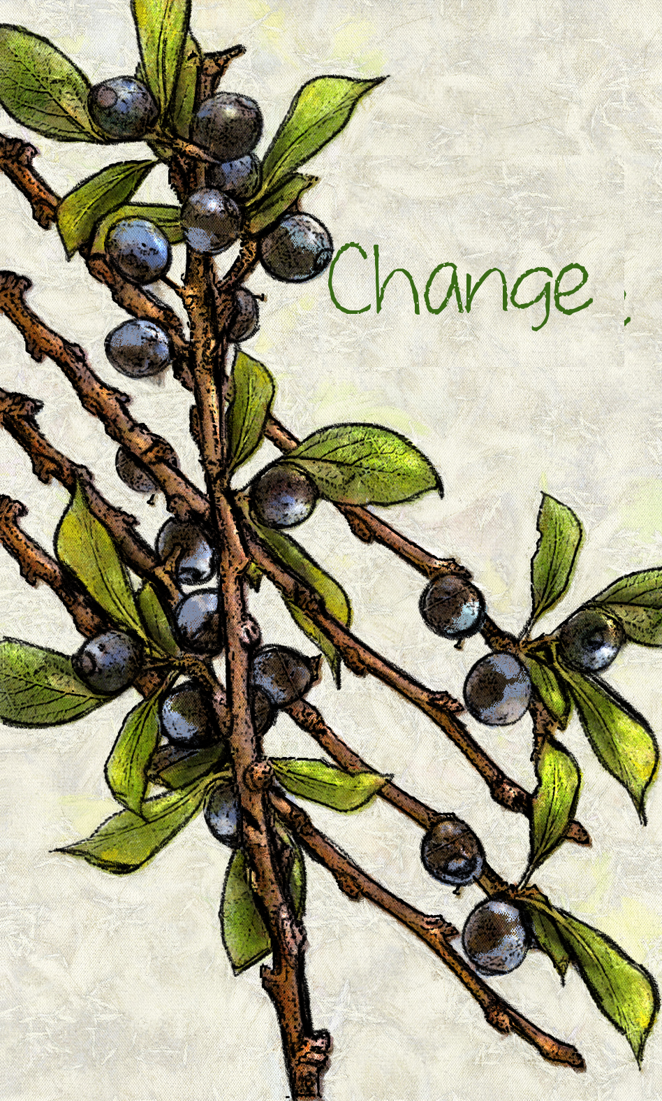 Copy of 14-blackthorn3.png