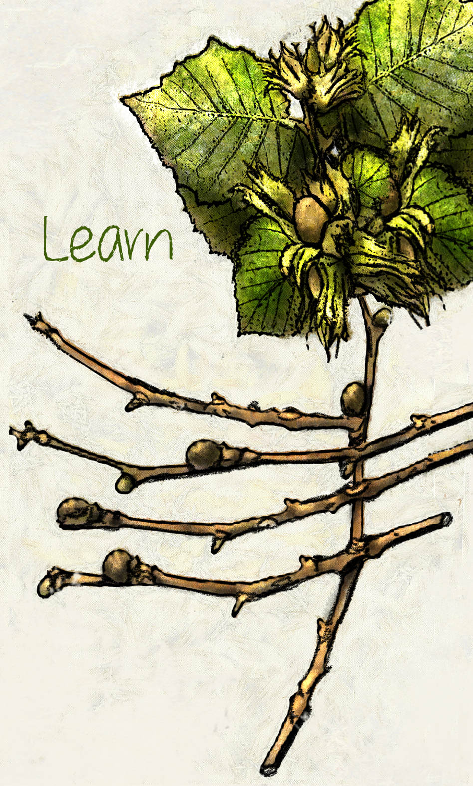 Copy of 9-hazel style 3.png