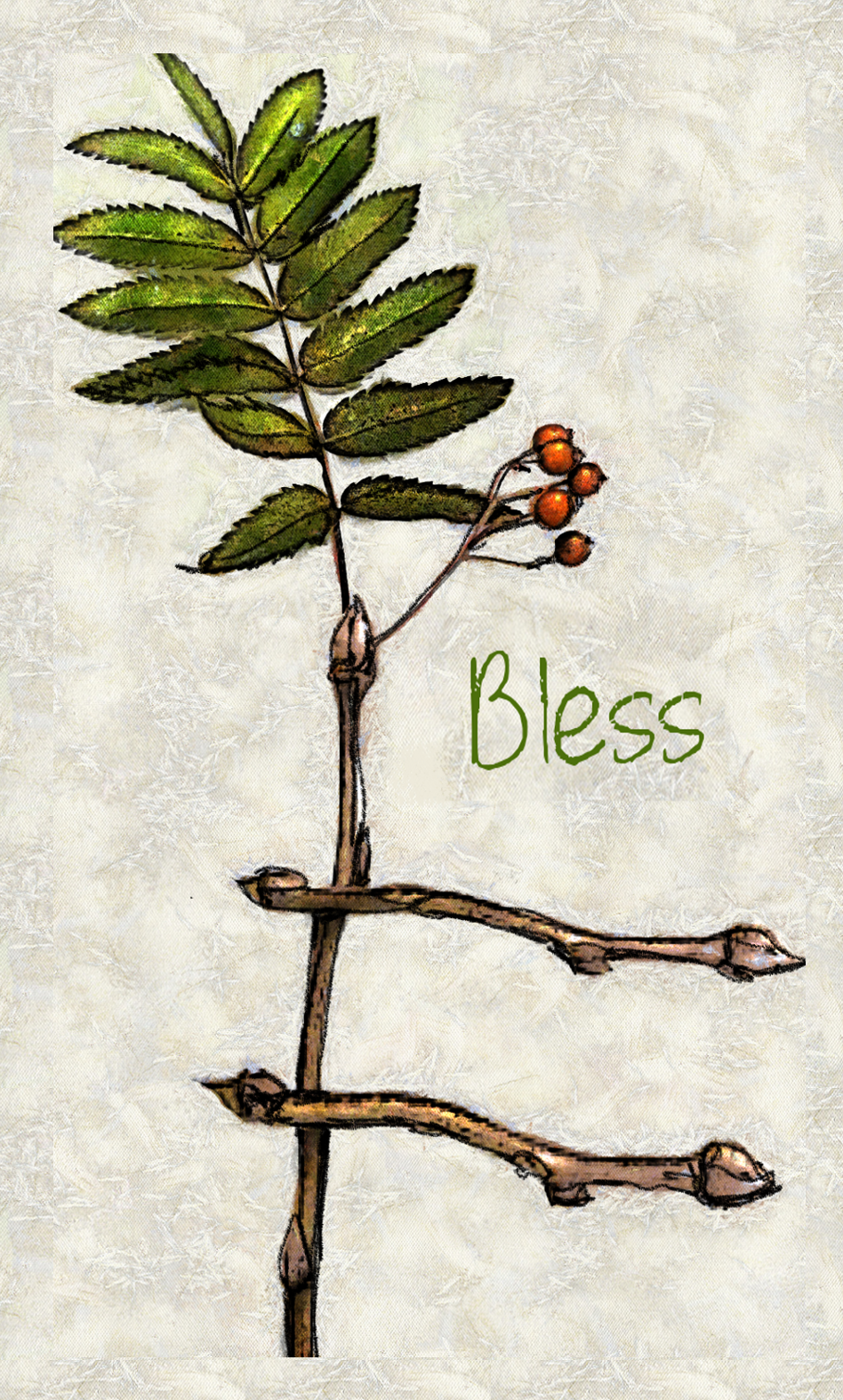 Copy of 2-rowan3.png