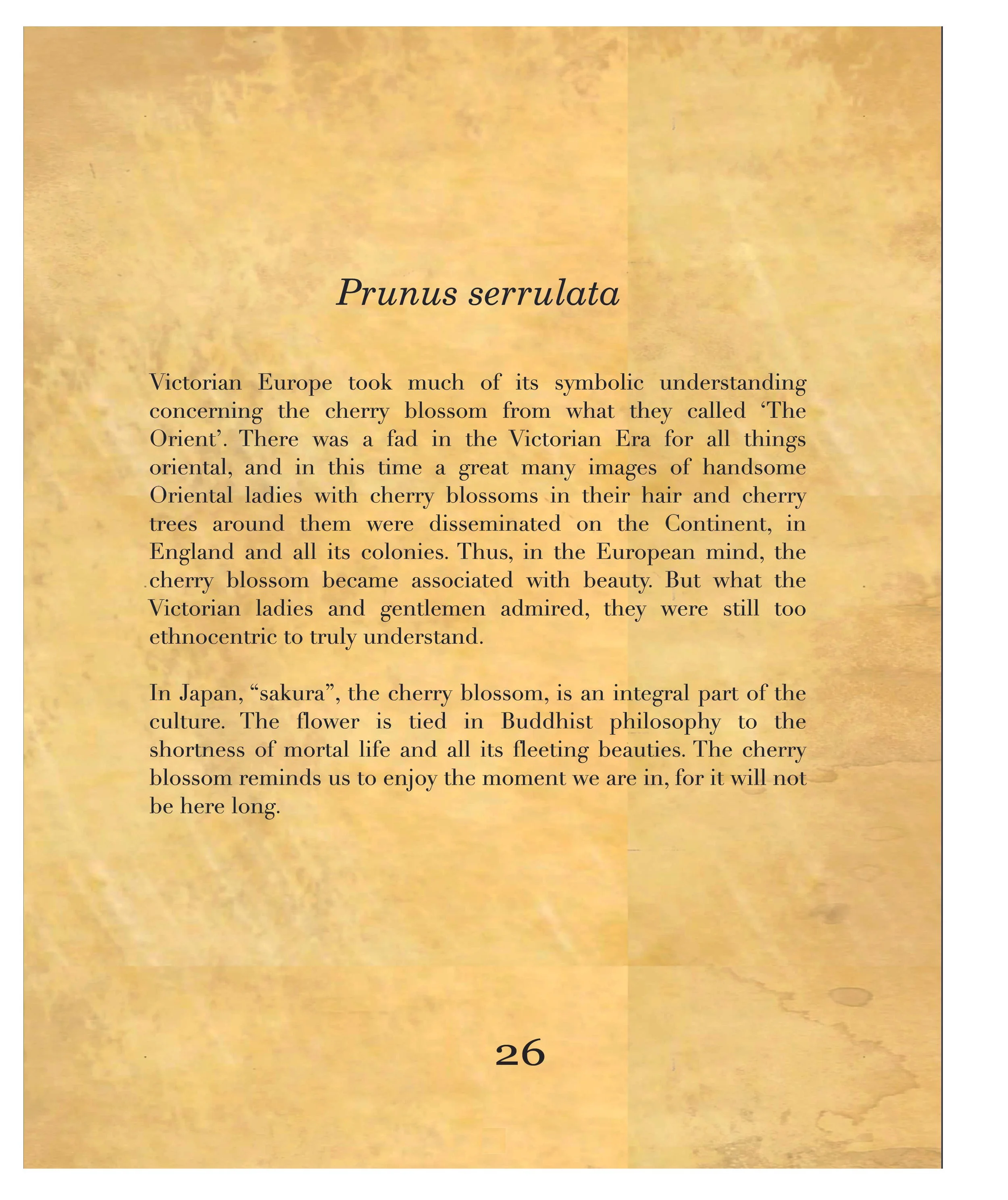 smokeandroses_bleed (33).jpg