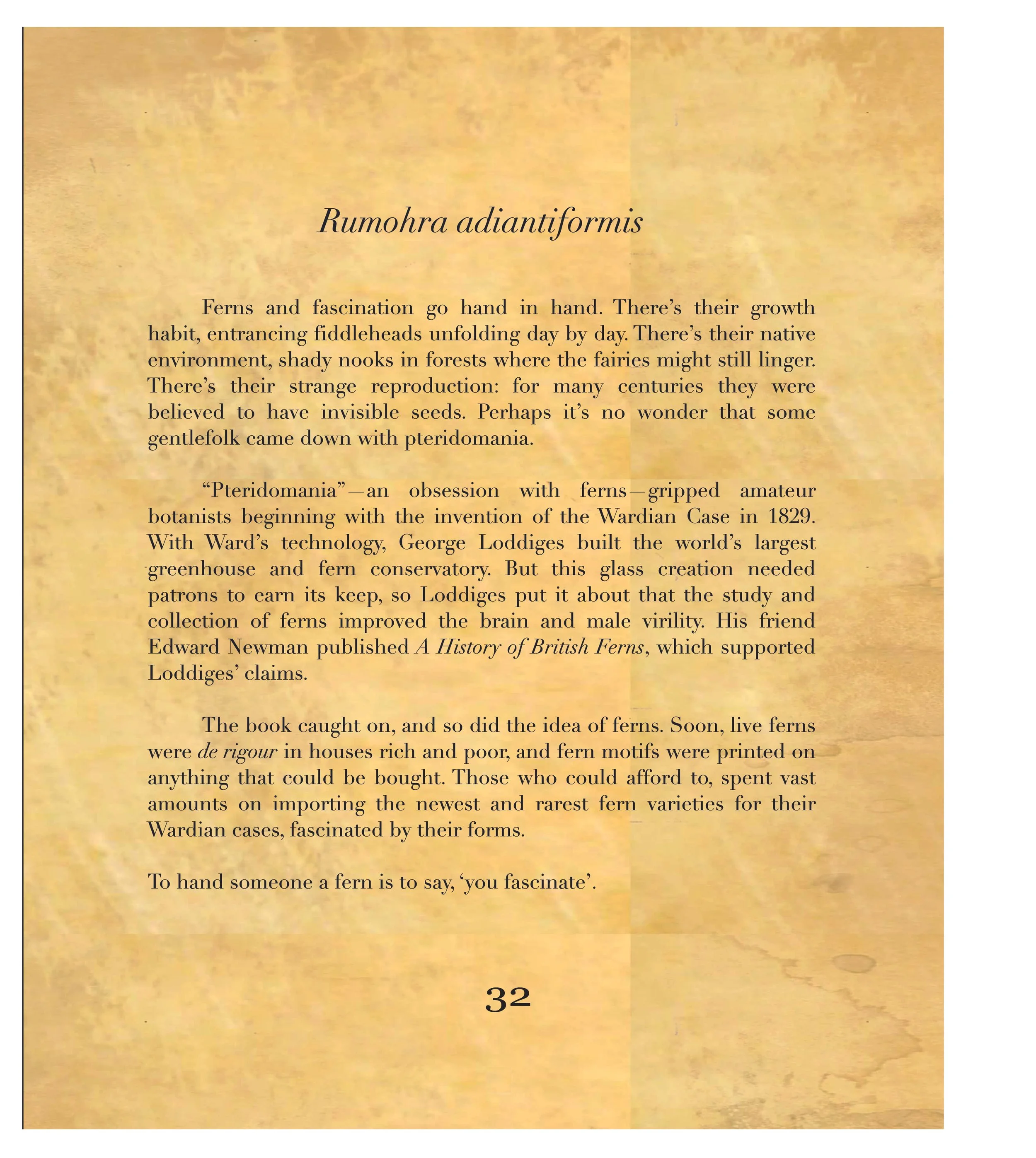 smokeandroses_bleed (39).jpg