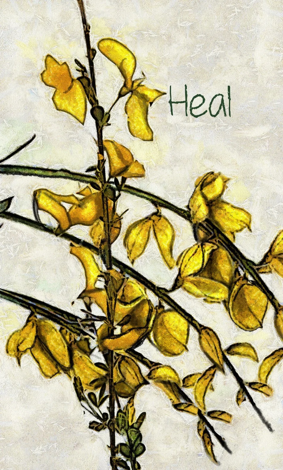 Copy of 13-Broom Style 3.jpg