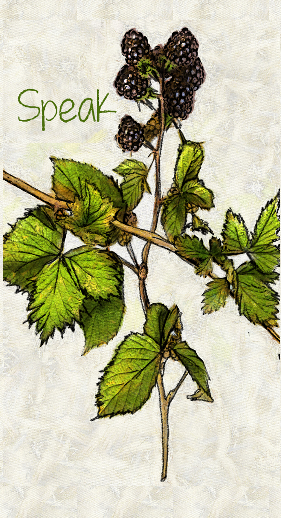 Copy of 11-Blackberry style 3 .png