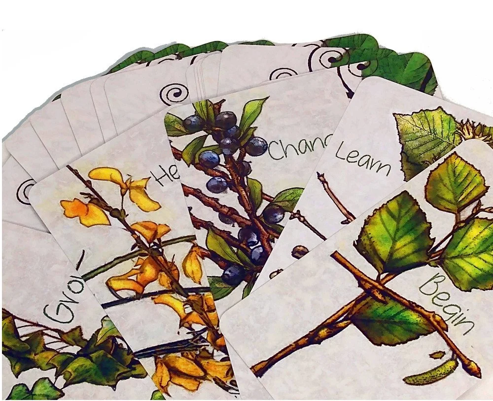 IMG_20200502_152547208.jpg (Copy)