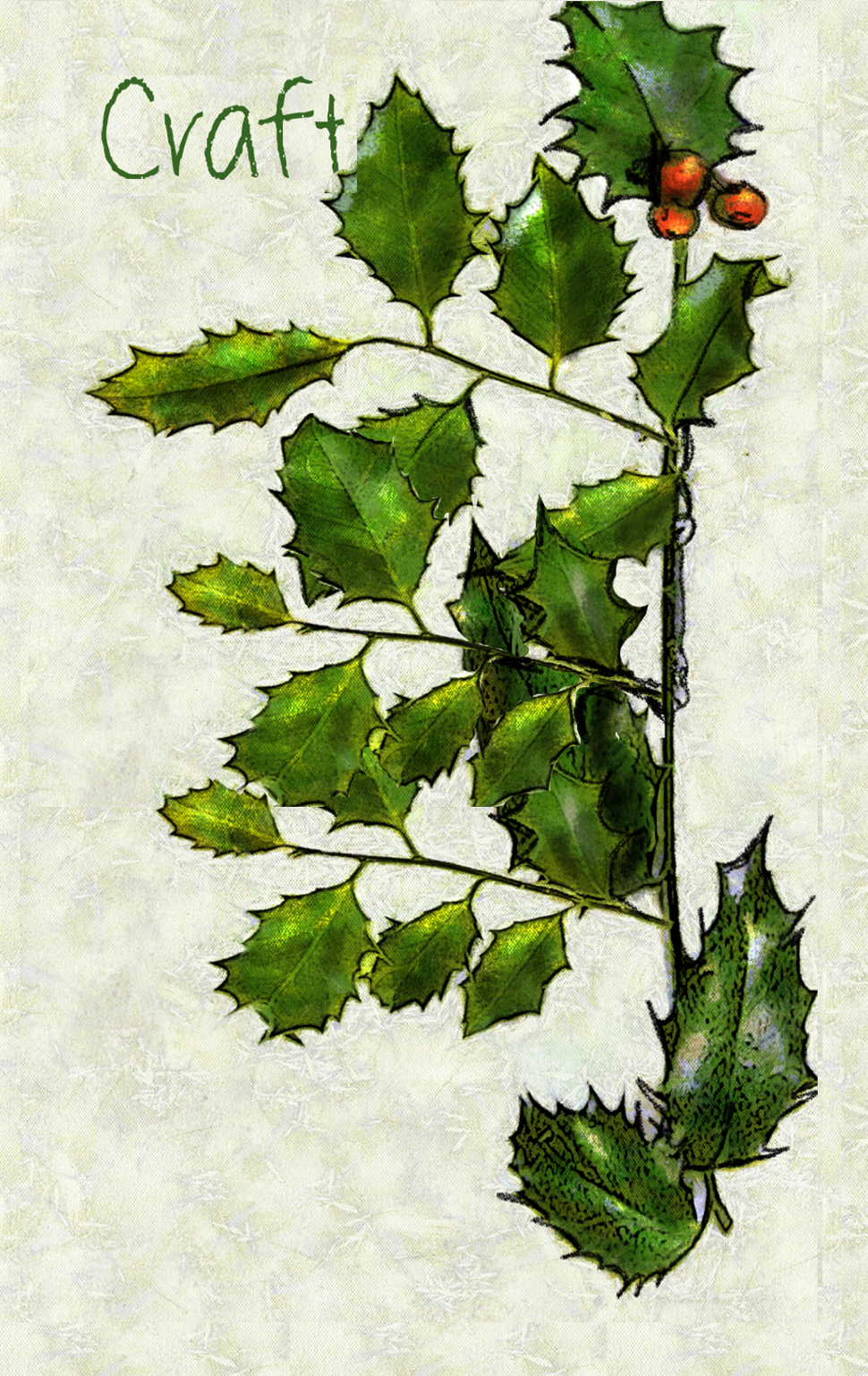 Copy of 8-holly style 3.png