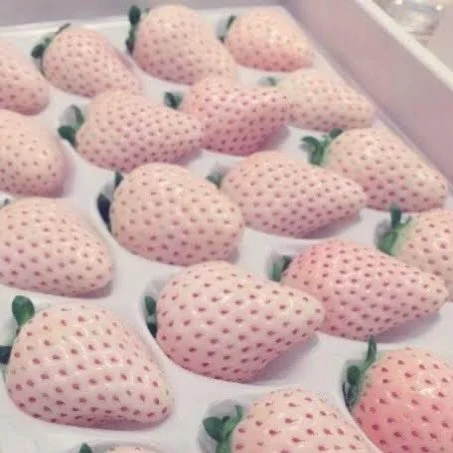 🍓