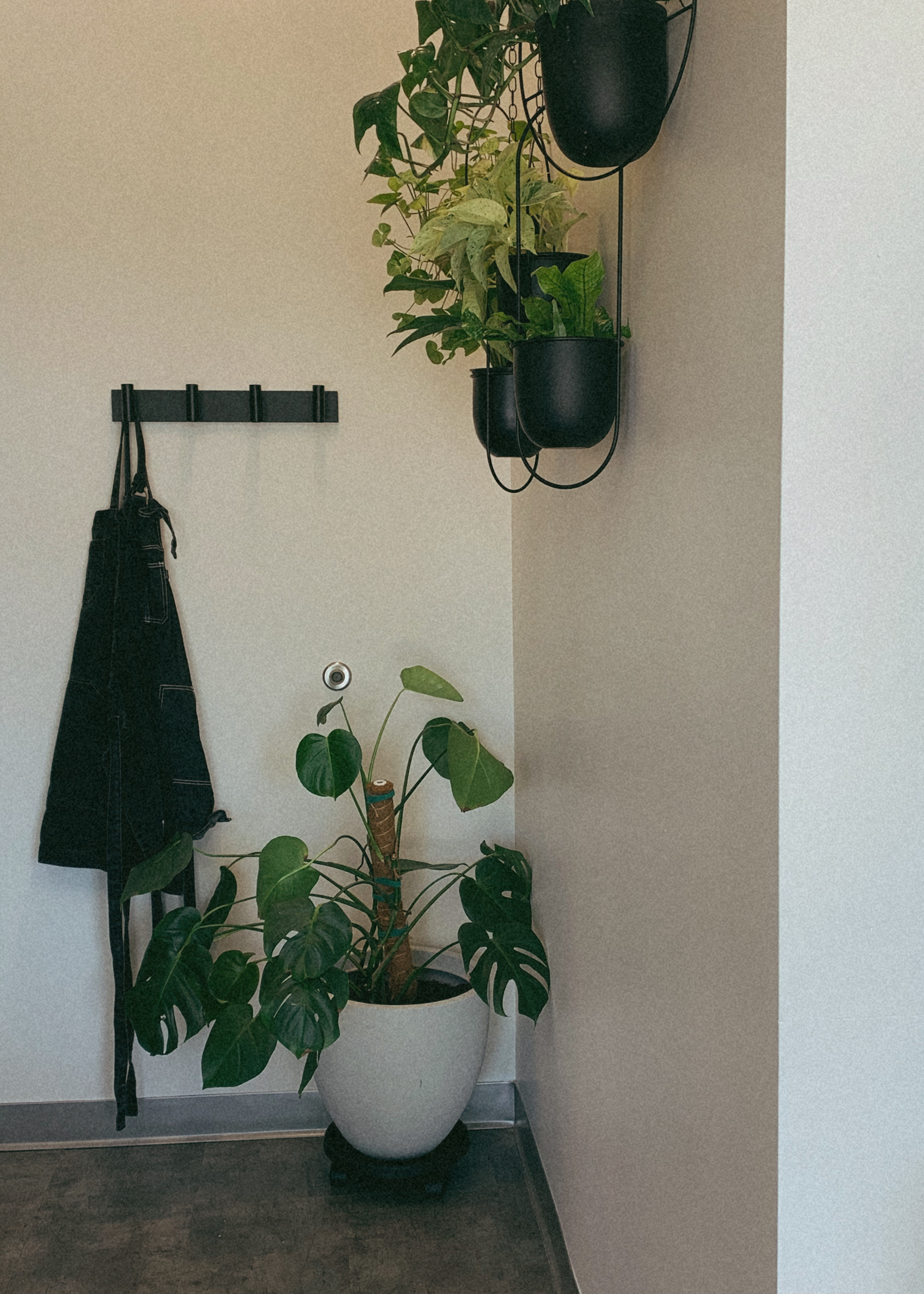 Charlotte Hairstylist