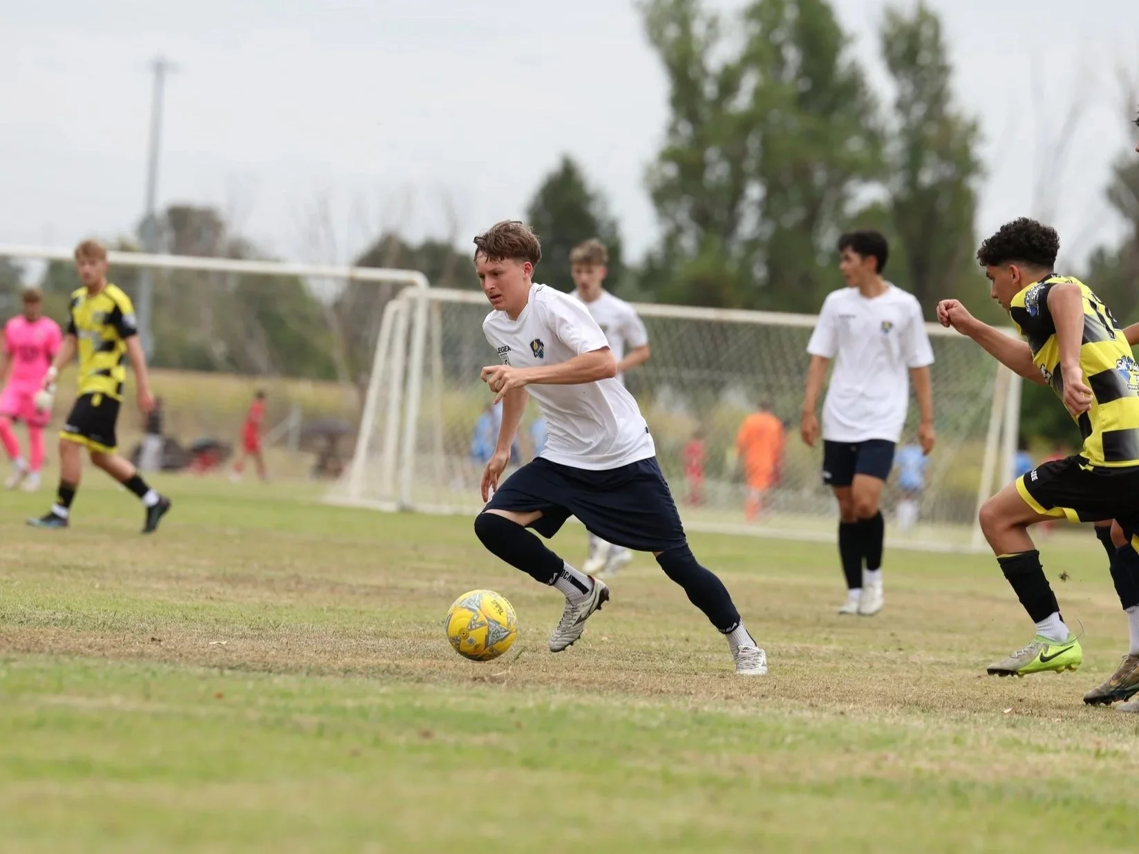 BATHURST CUP  - 31/01