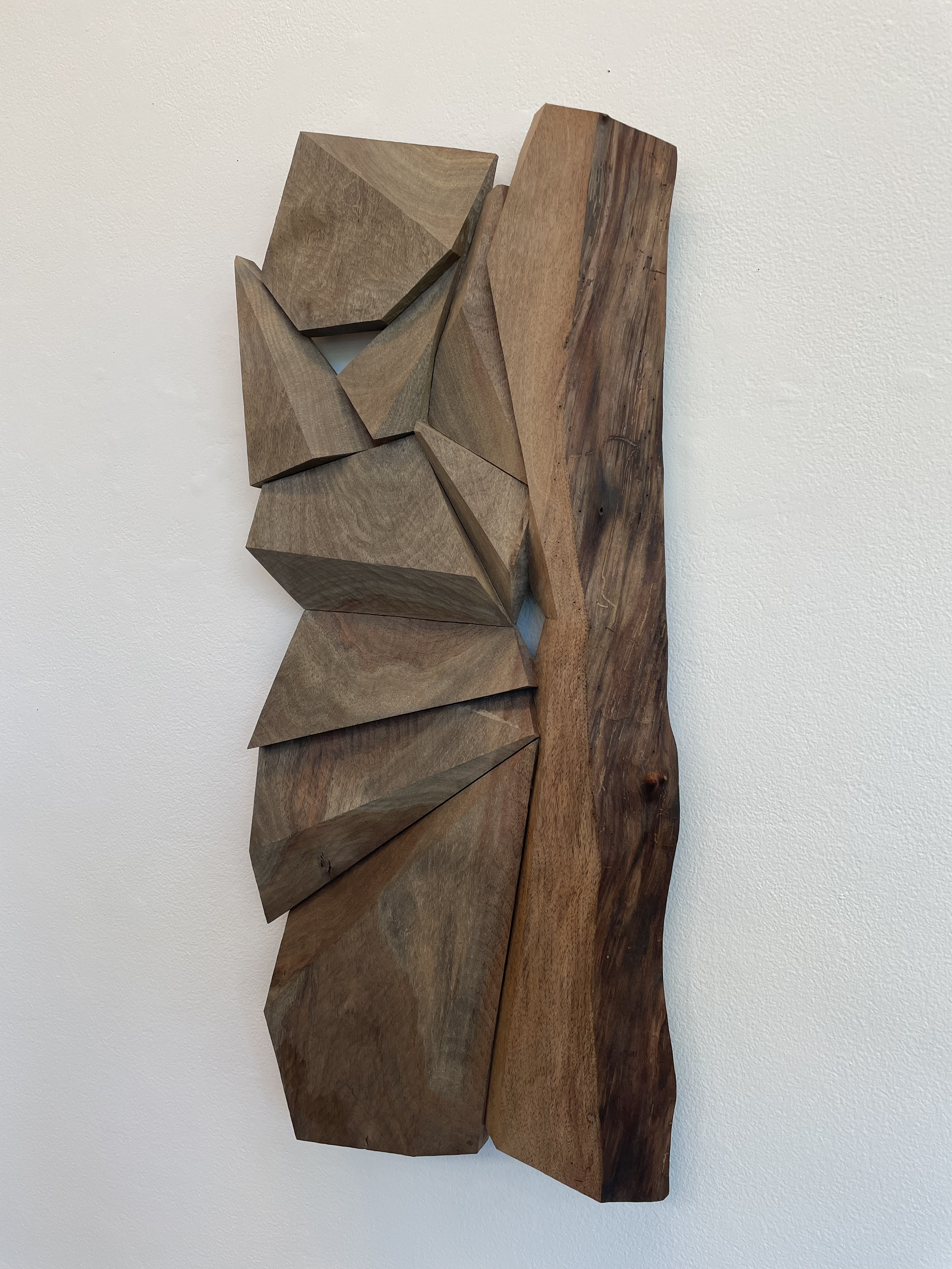 Title - Visiting the Familiar |
Media - Black Walnut |
Dimensions - 30.5” x 13.5” x 1.5”